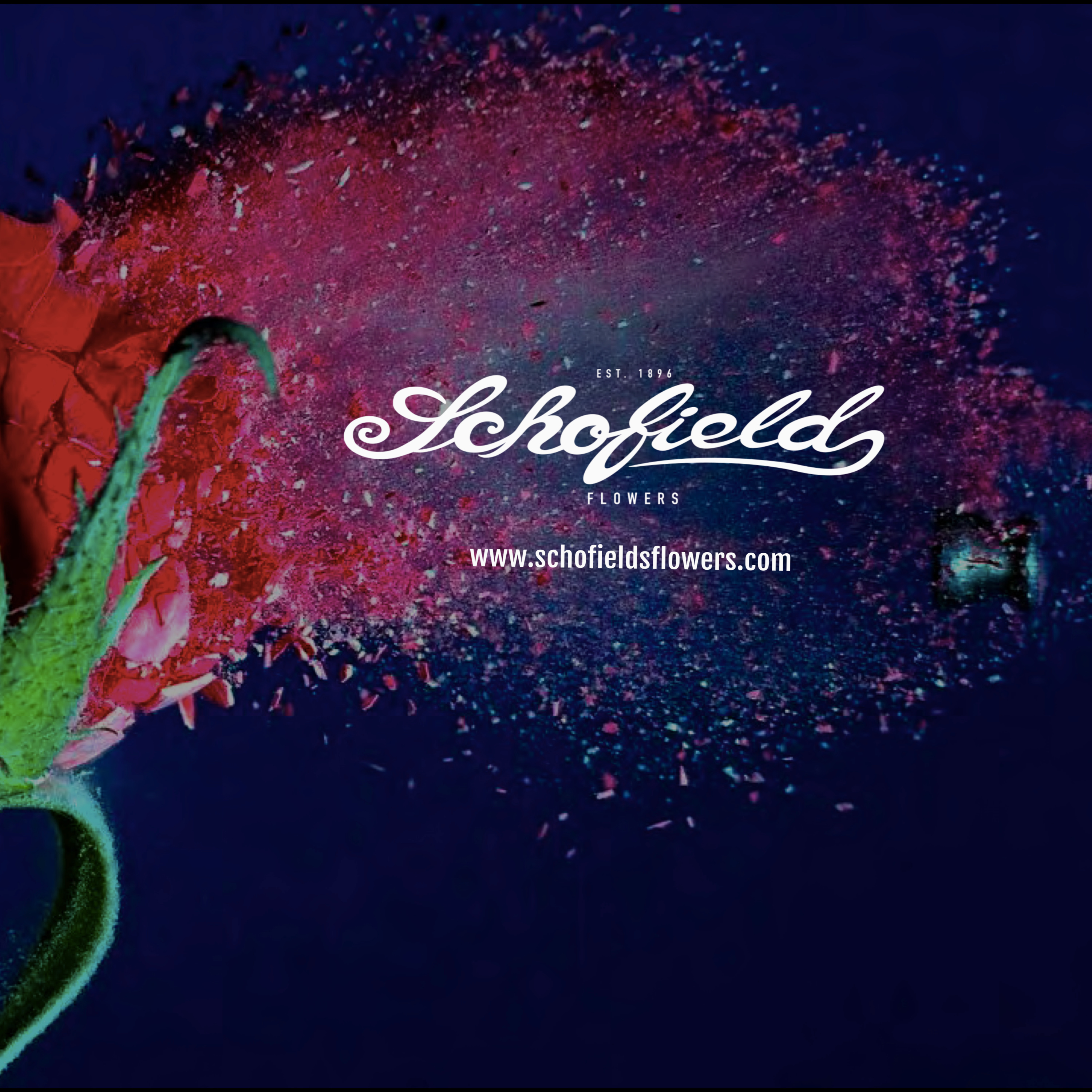 Schofield\'s Flowers Social Hour