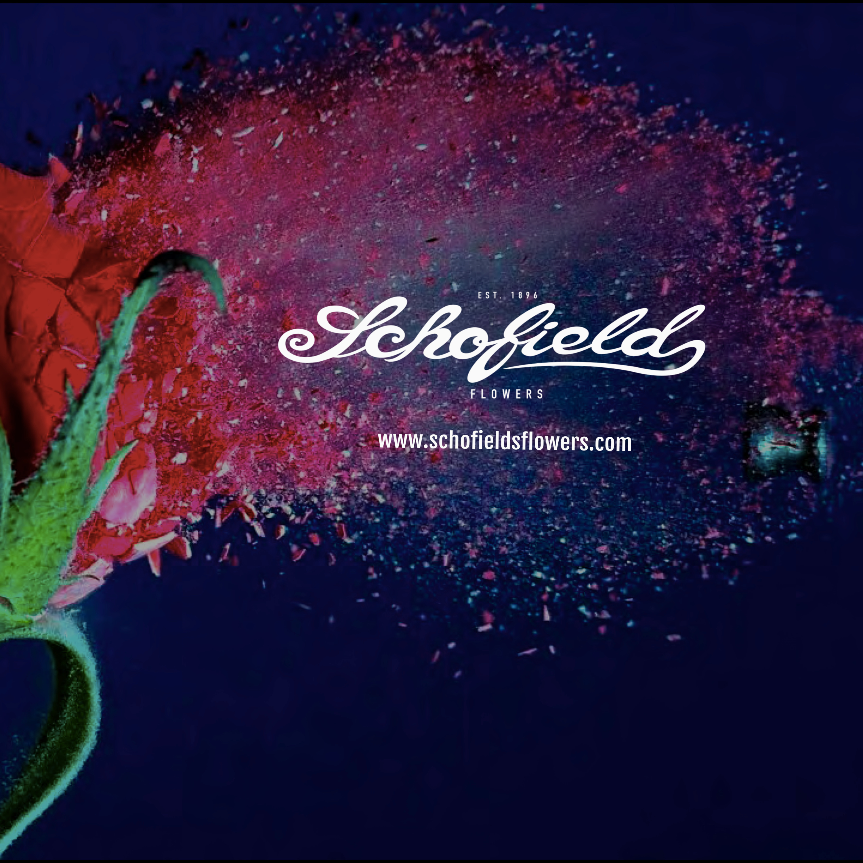 Schofield\'s Flowers Social Hour