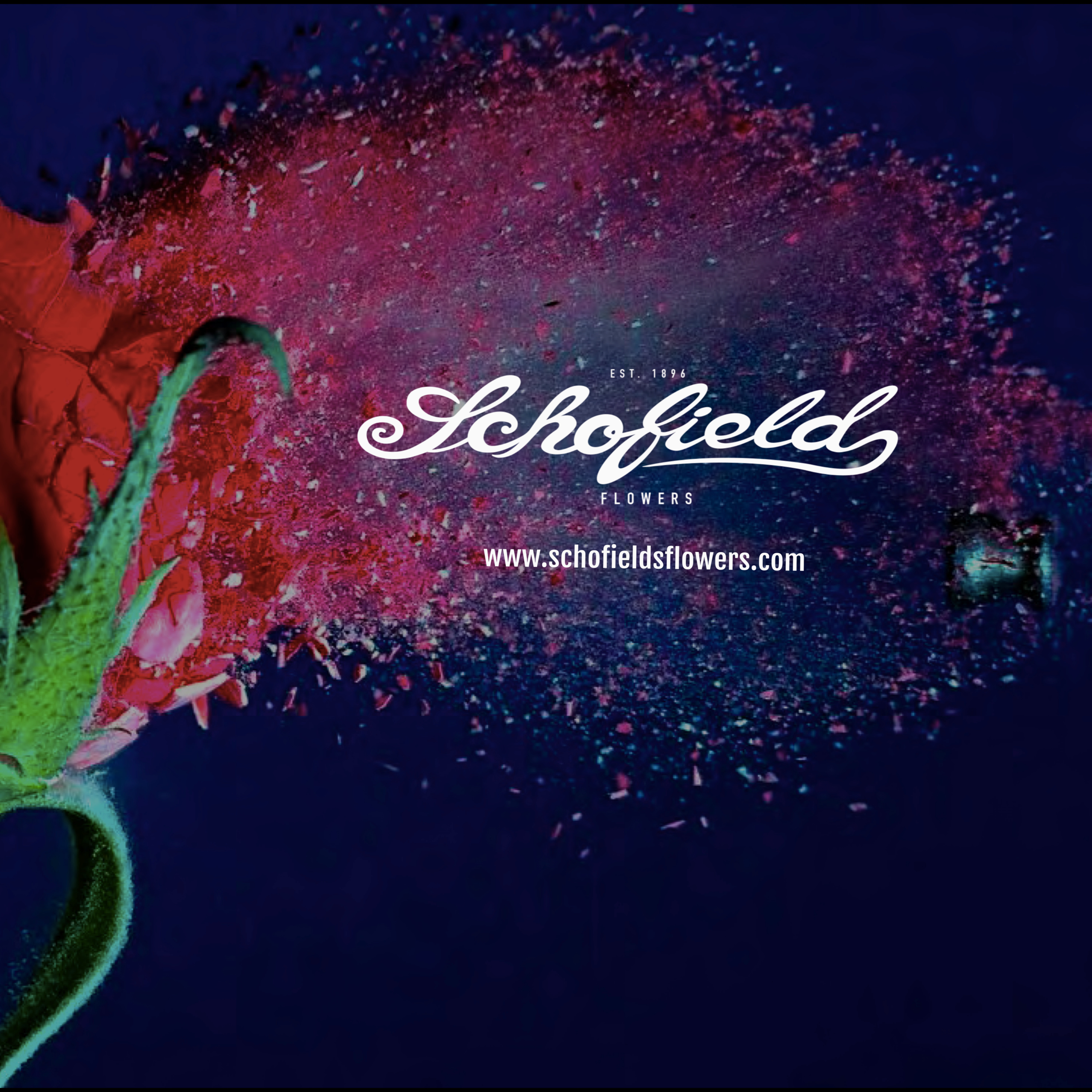 Schofield\'s Flowers Social Hour