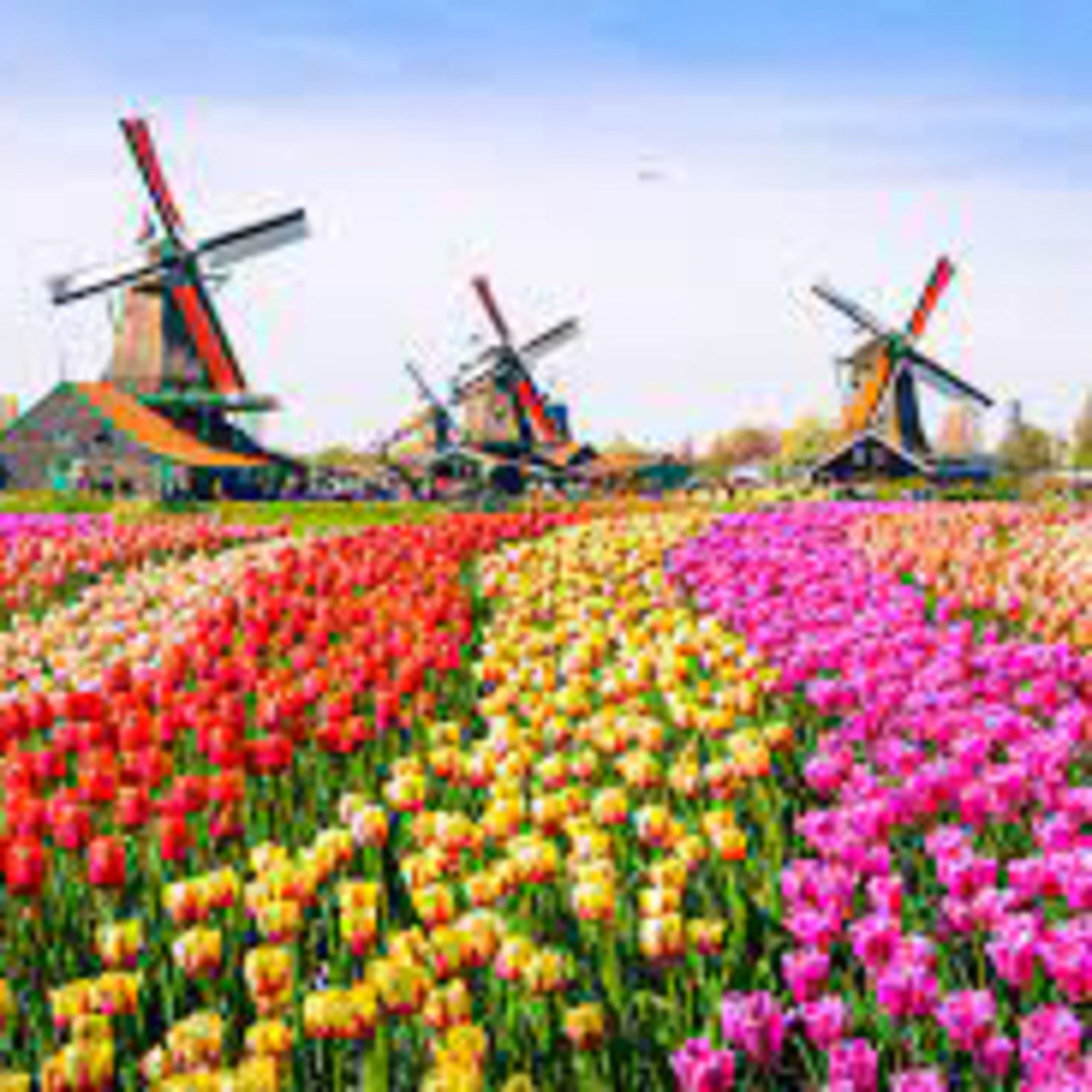 Concept of place - The Netherlands episode artwork