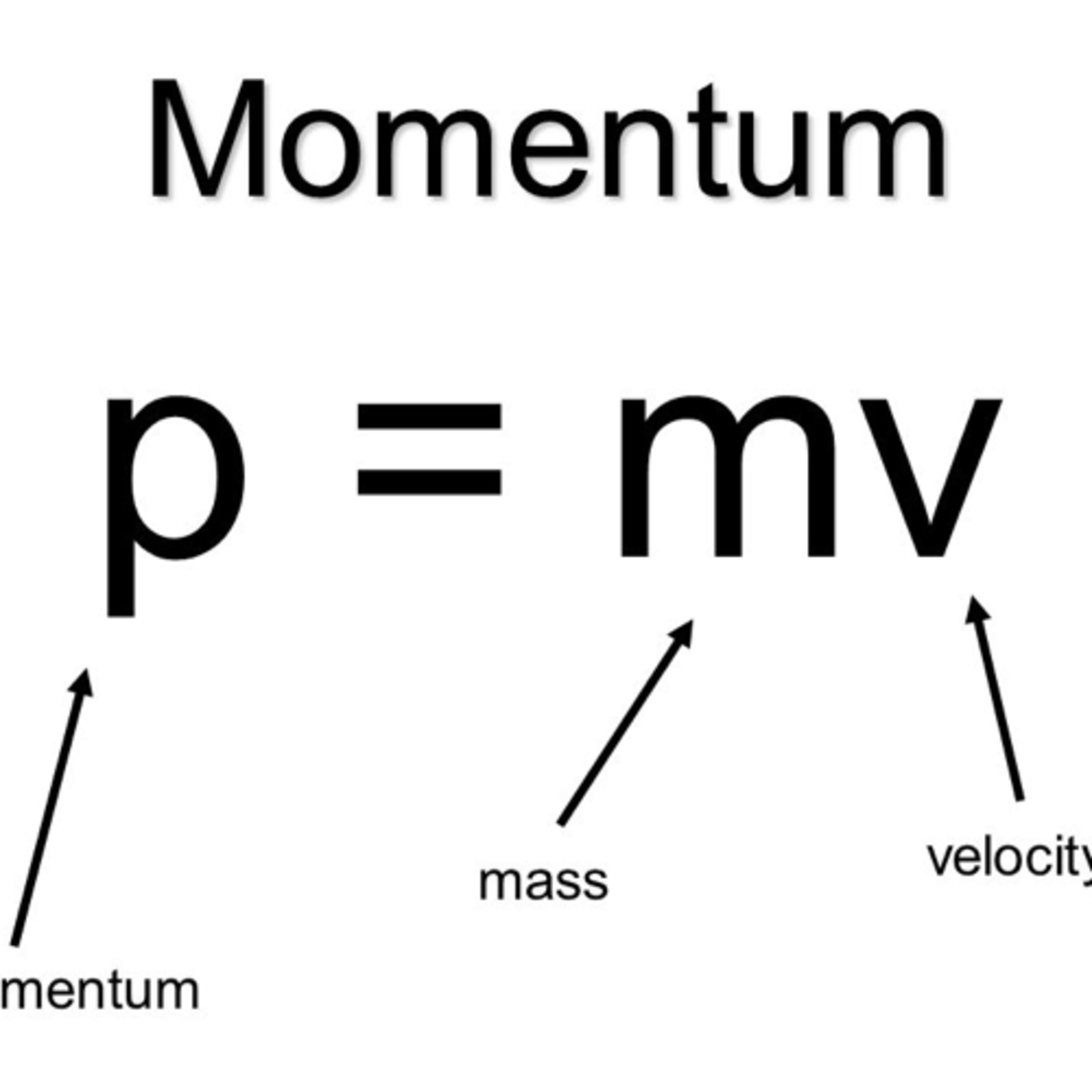 Momentum