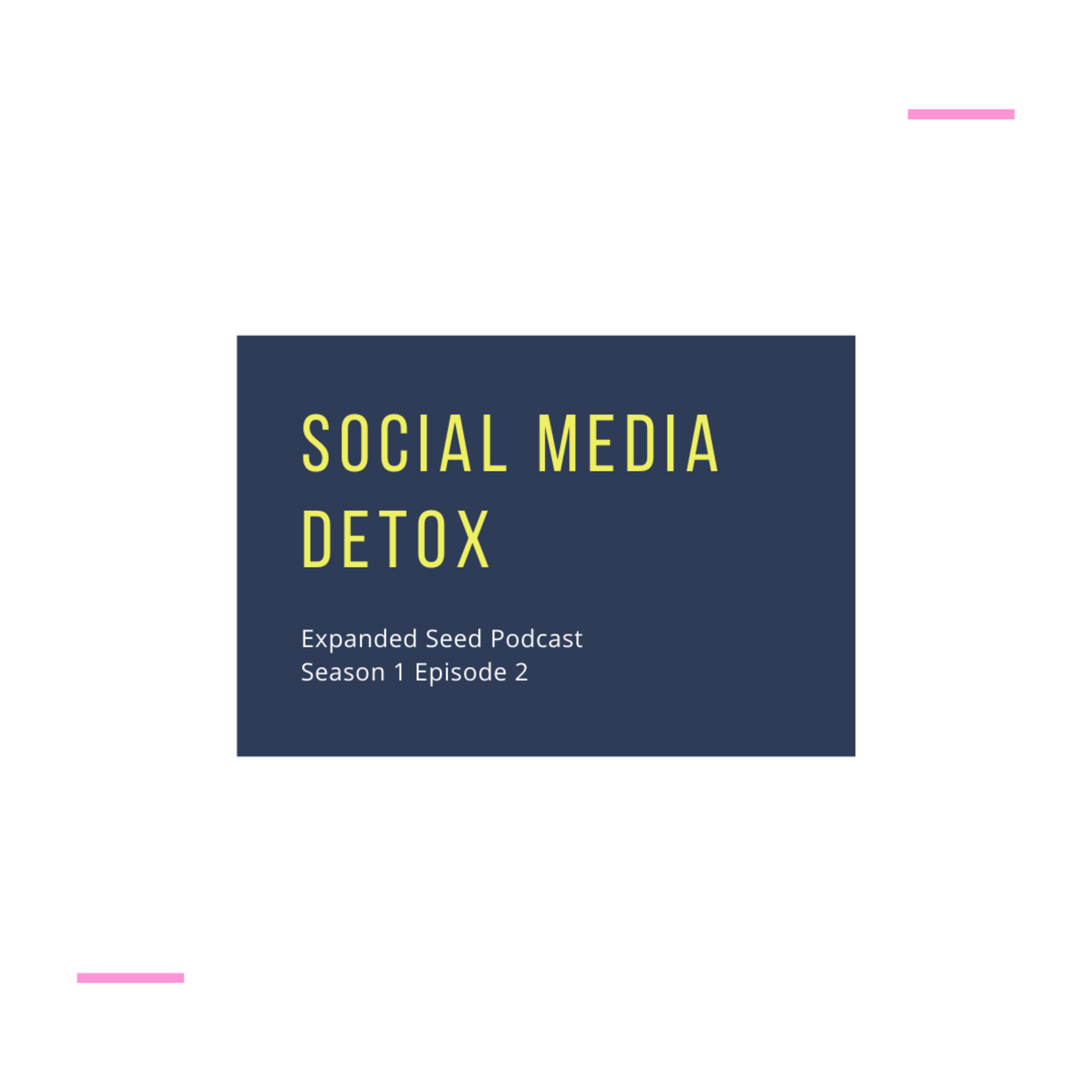 Social Media Detox