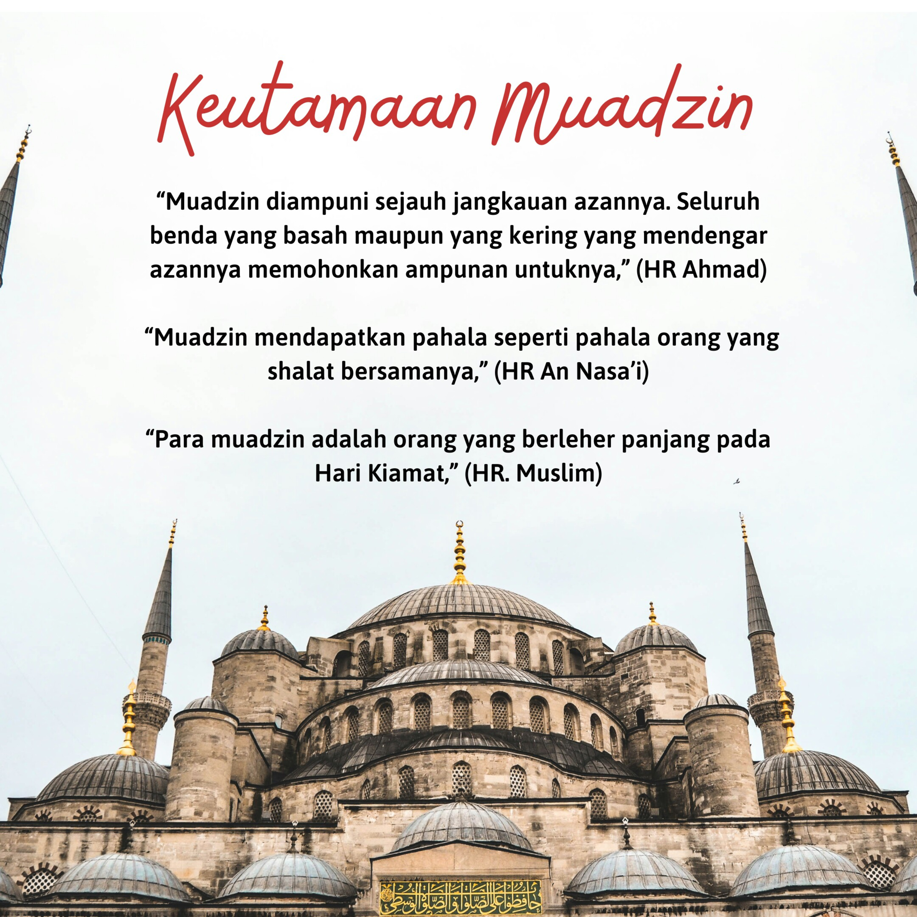 Selimur Tetangga