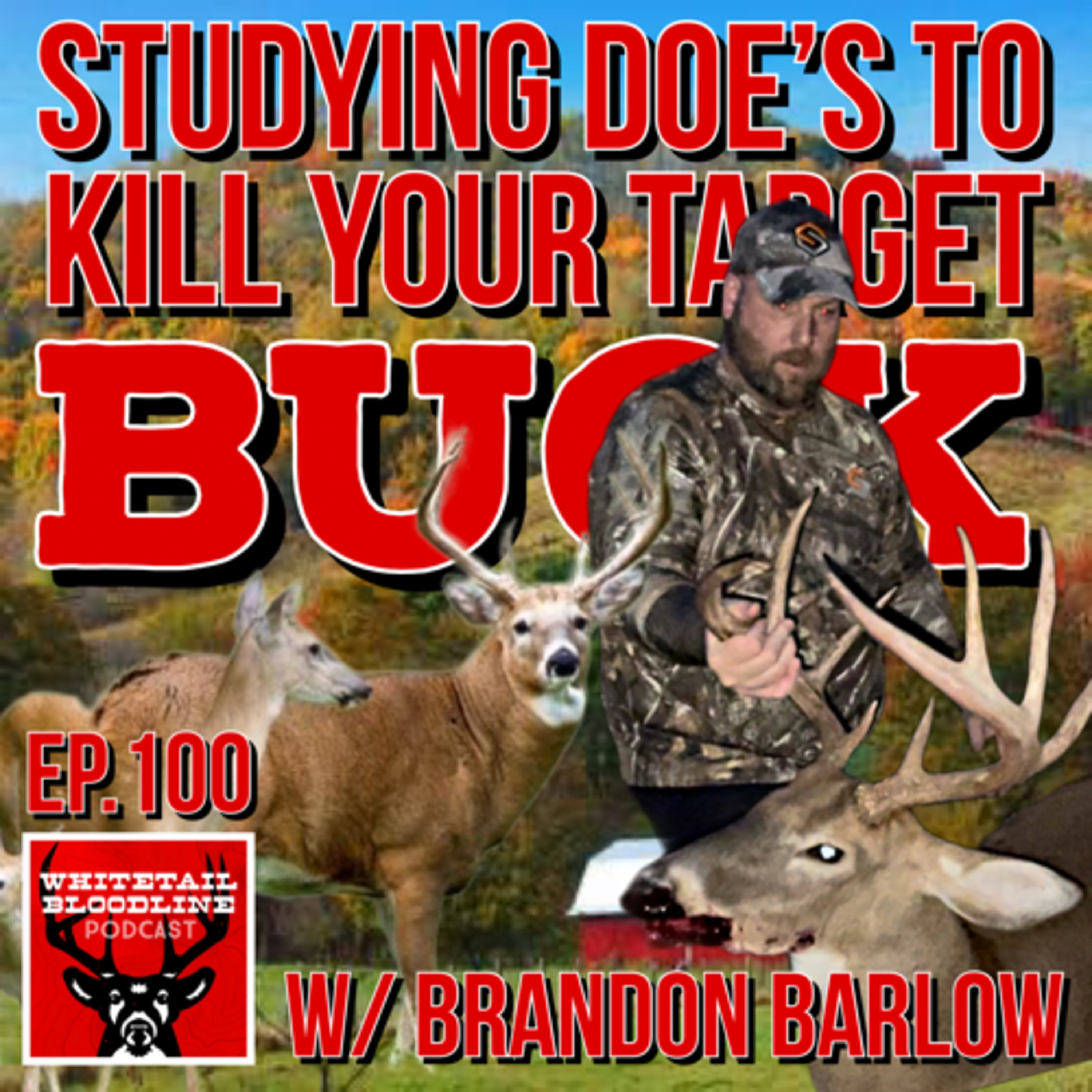 100 | Studying Doe’s To Kill Your Target Buck W/ Brandon Barlow | North Carolina Whitetail Hunting
