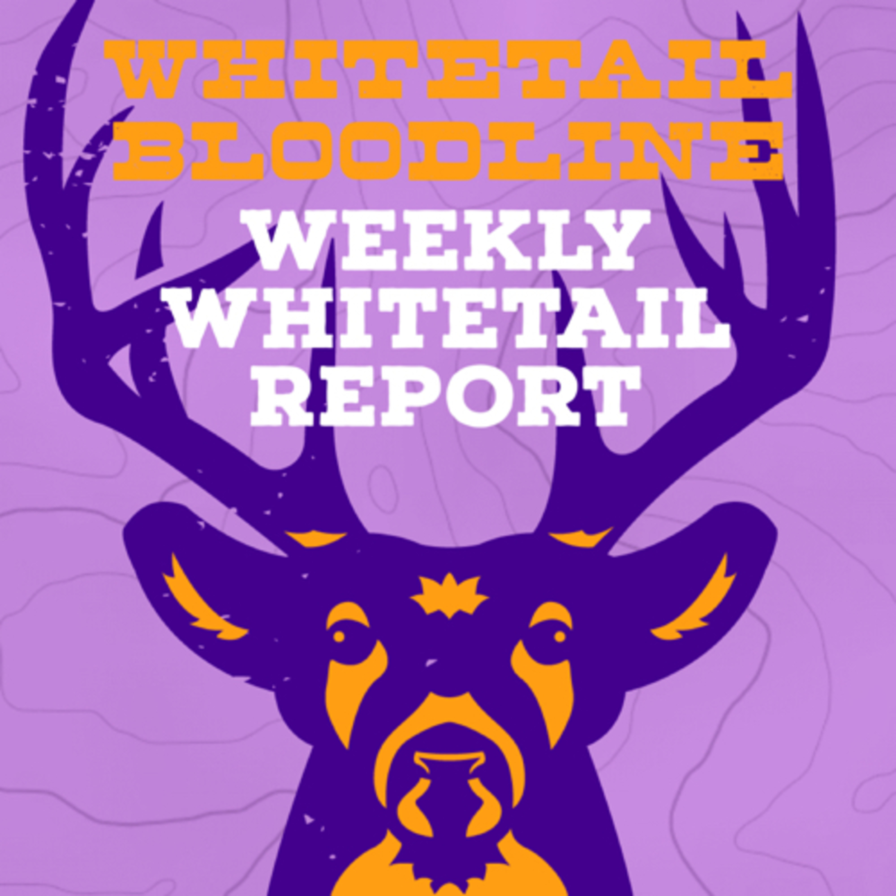101 | Weekly Whitetail Report (October 6th-13th) | Indiana, Missouri, New York, and Ohio Whitetails