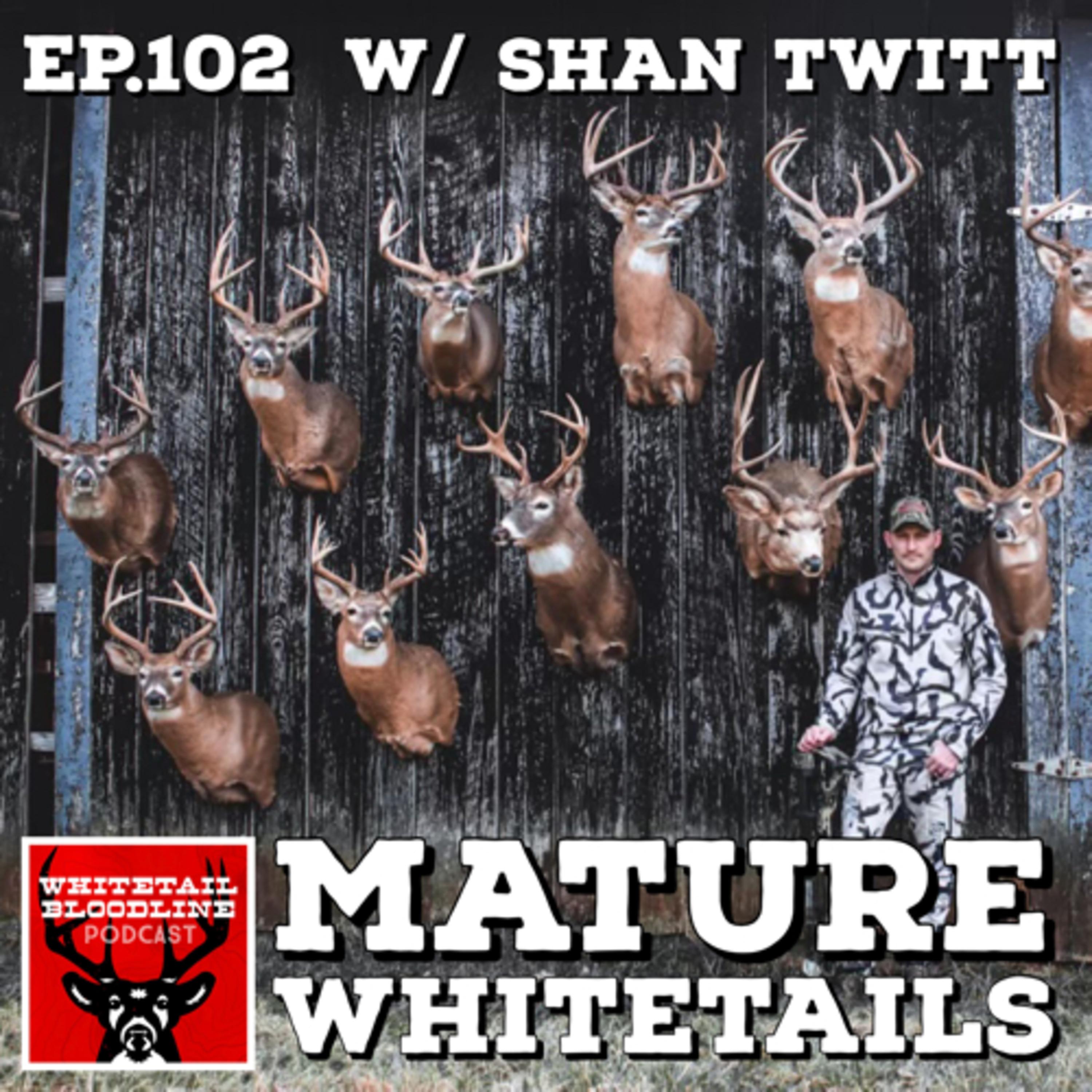 102 | Mature Whitetails W/ Shan Twit | land management and hunting consulting | Bow Hunting 