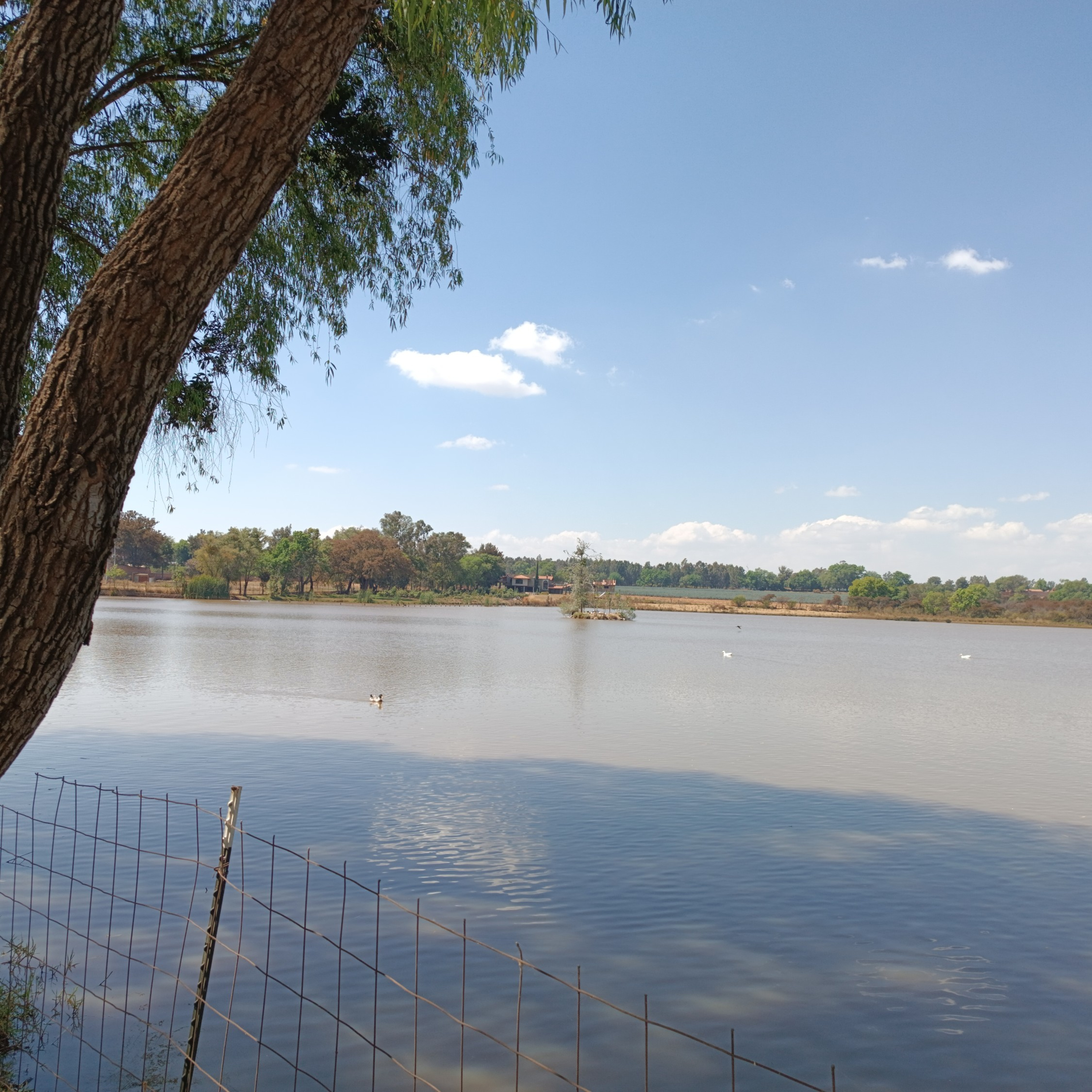 HABLEMOS DE TODO 👽