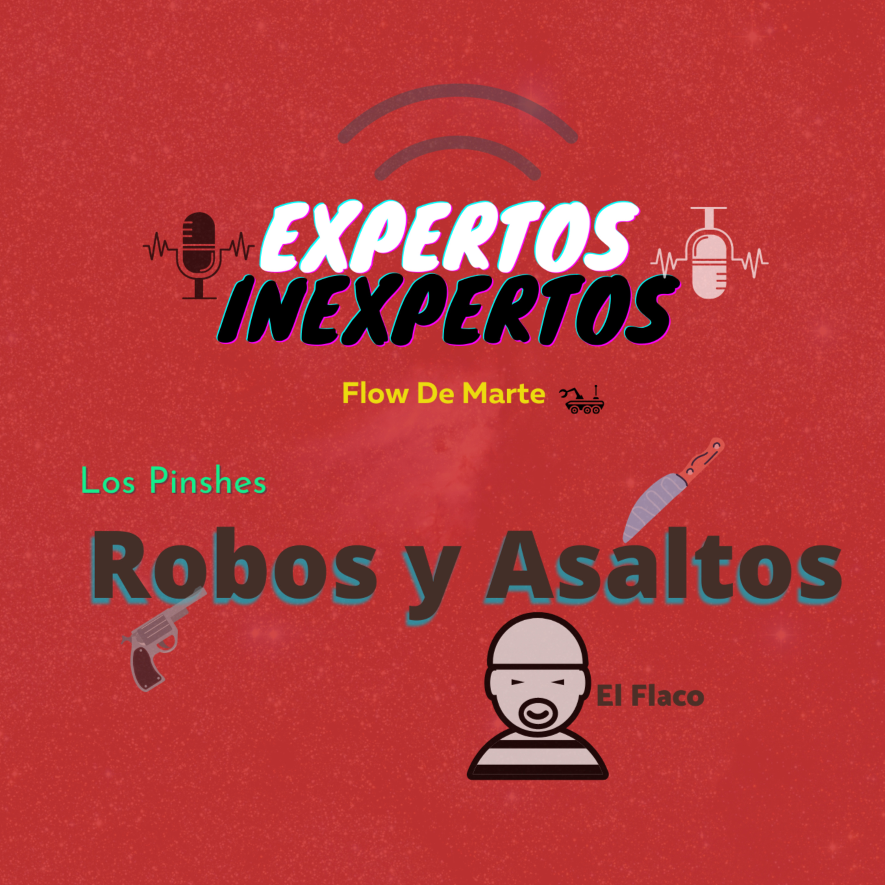 Expertos Inexpertos