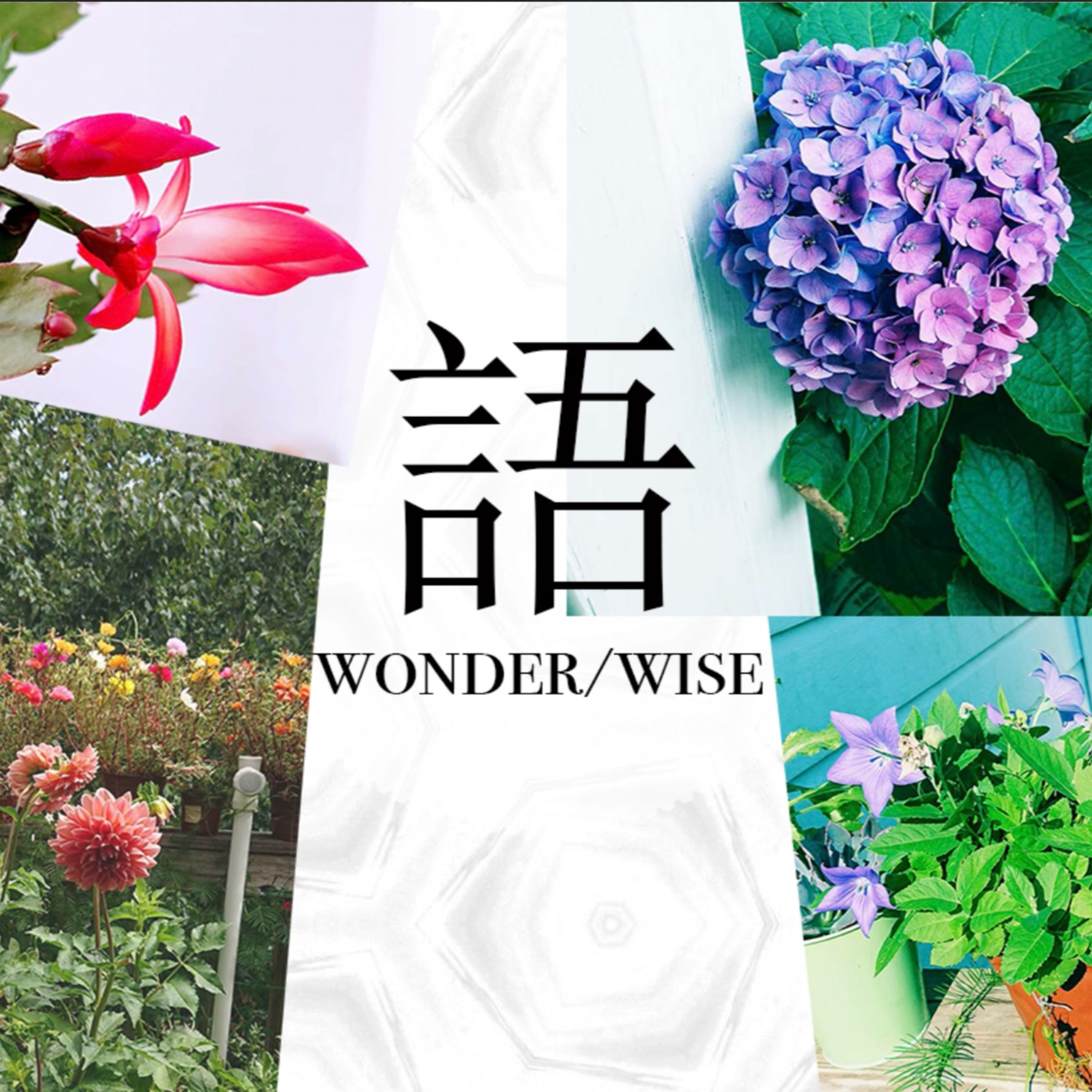 cover of episode 【做事侠03】在美留学胡博士，用主体性超越单向度