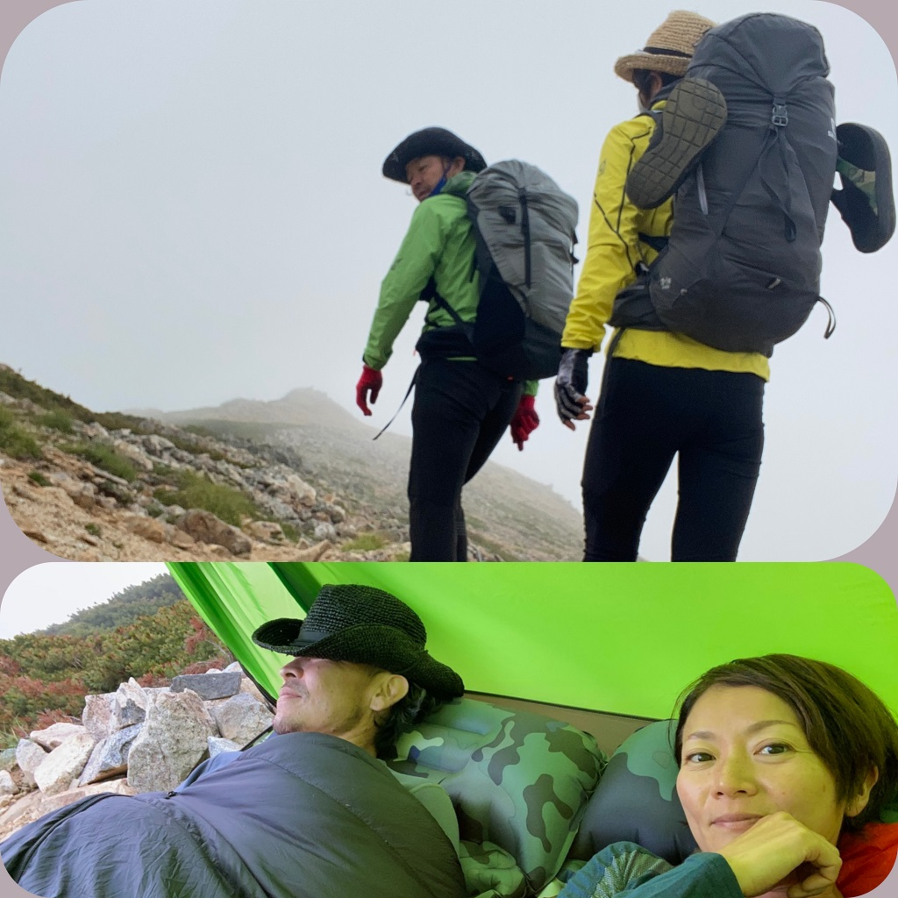 熊に遭遇⁉ 大天荘へHut trip/マッキーが食べちゃいけない添加物を一刀両断 #202 episode artwork
