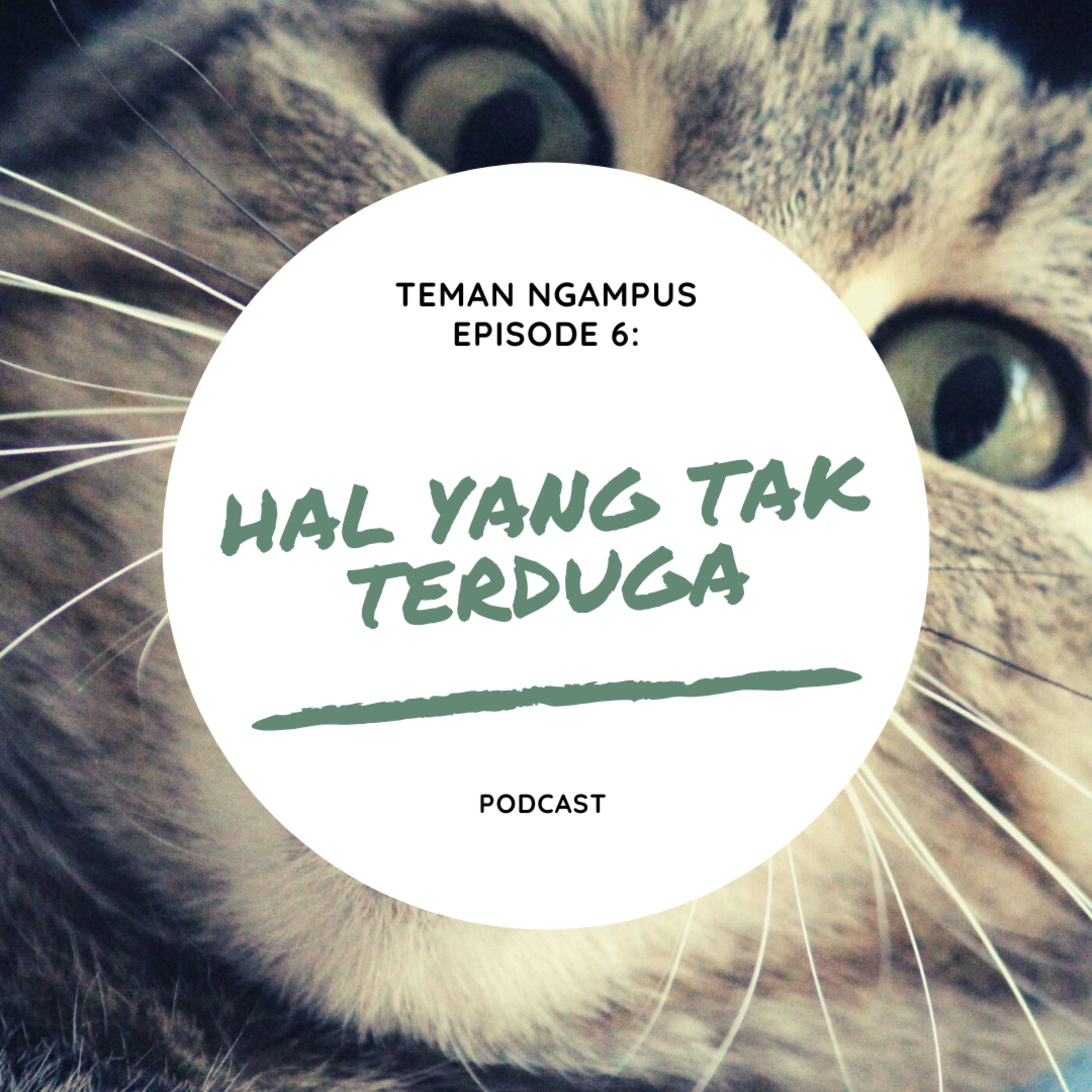 Teman Ngampus