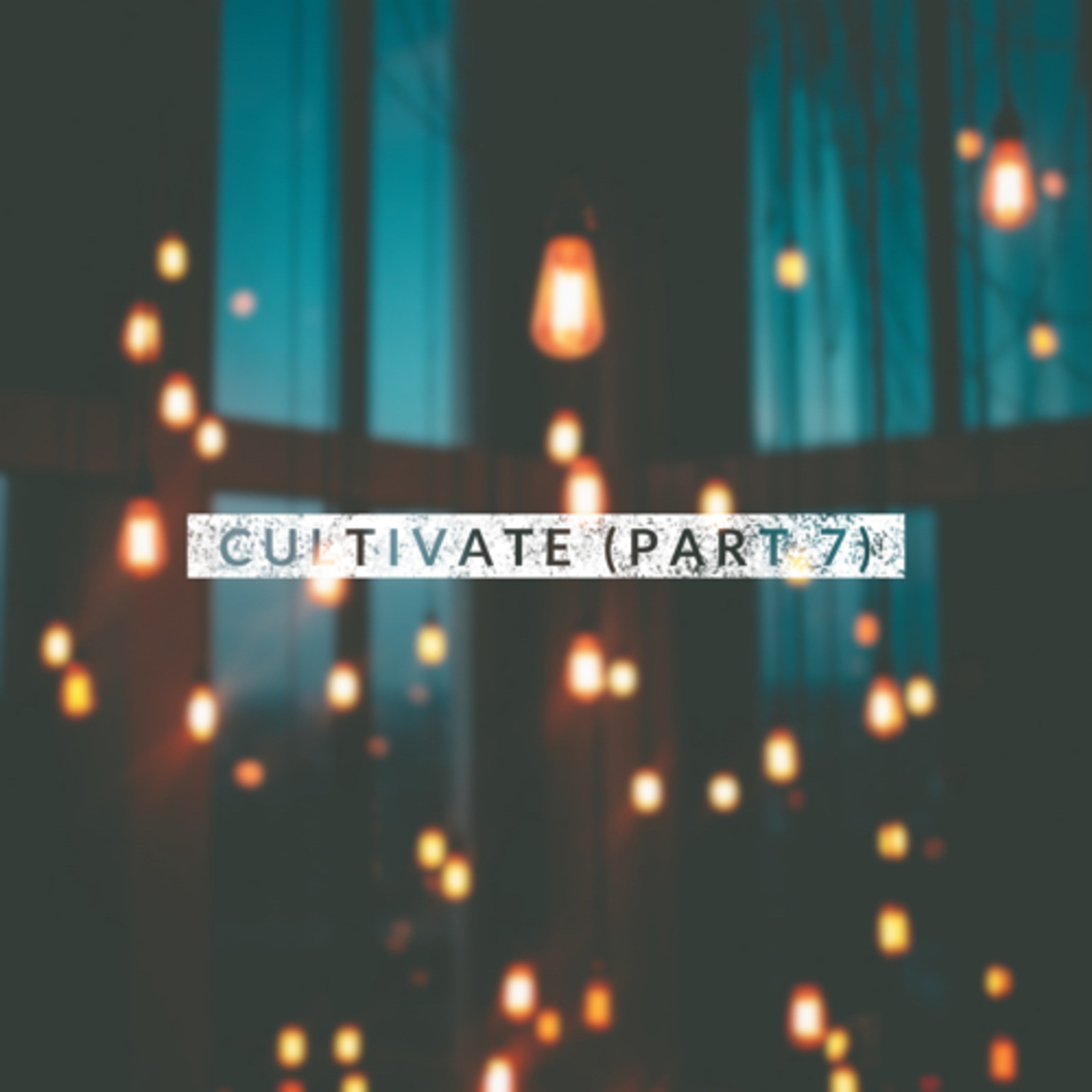 Light - Cultivate (Part 7)