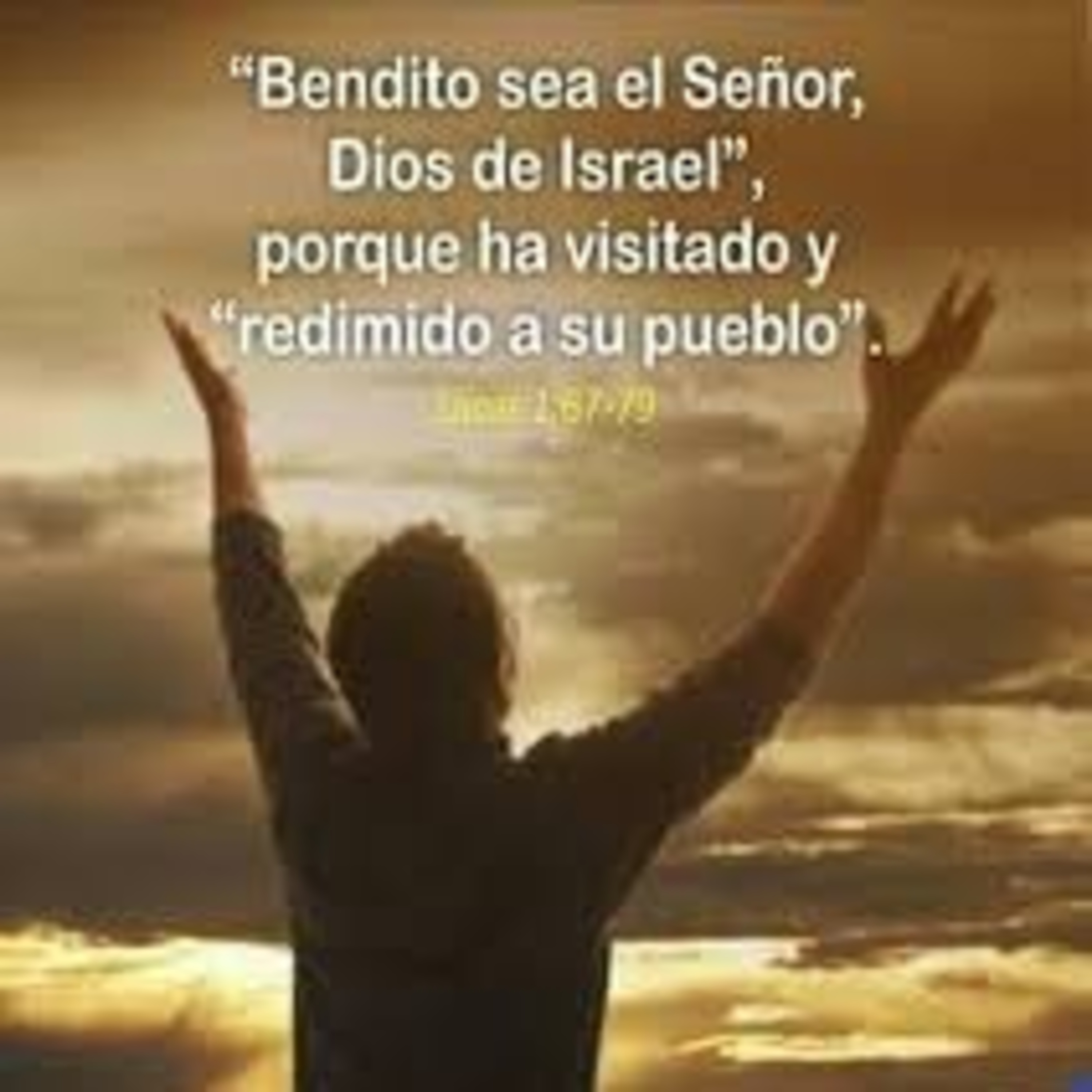 Palabra que renueva