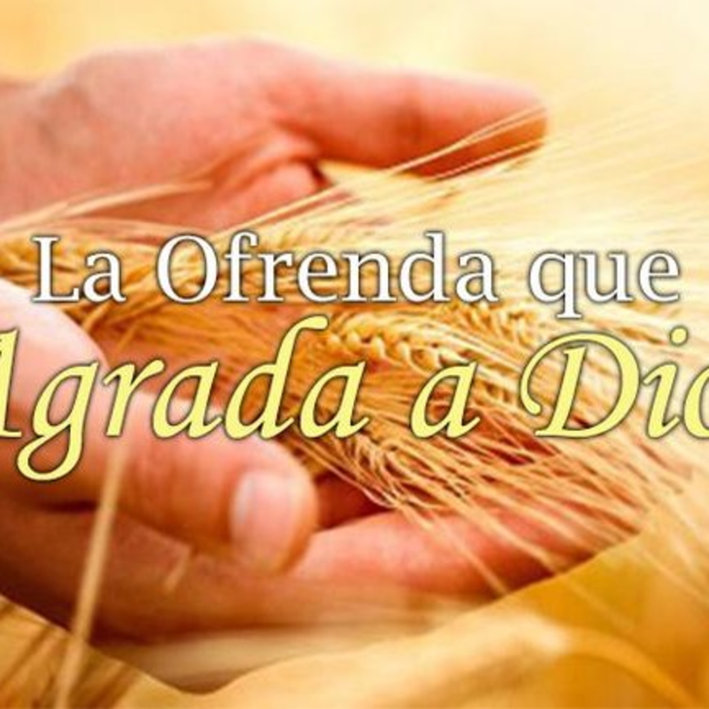 Palabra que renueva