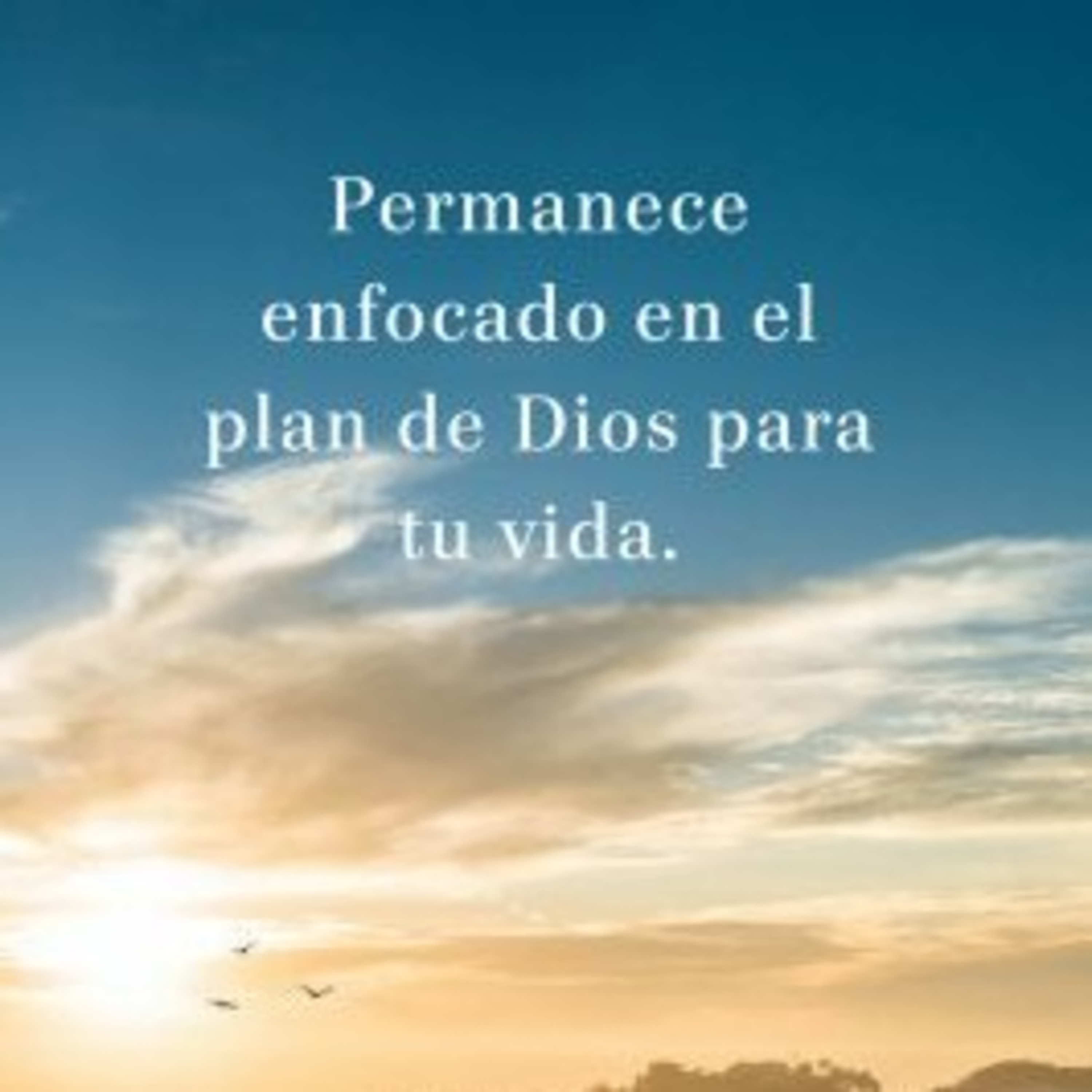 Palabra que renueva