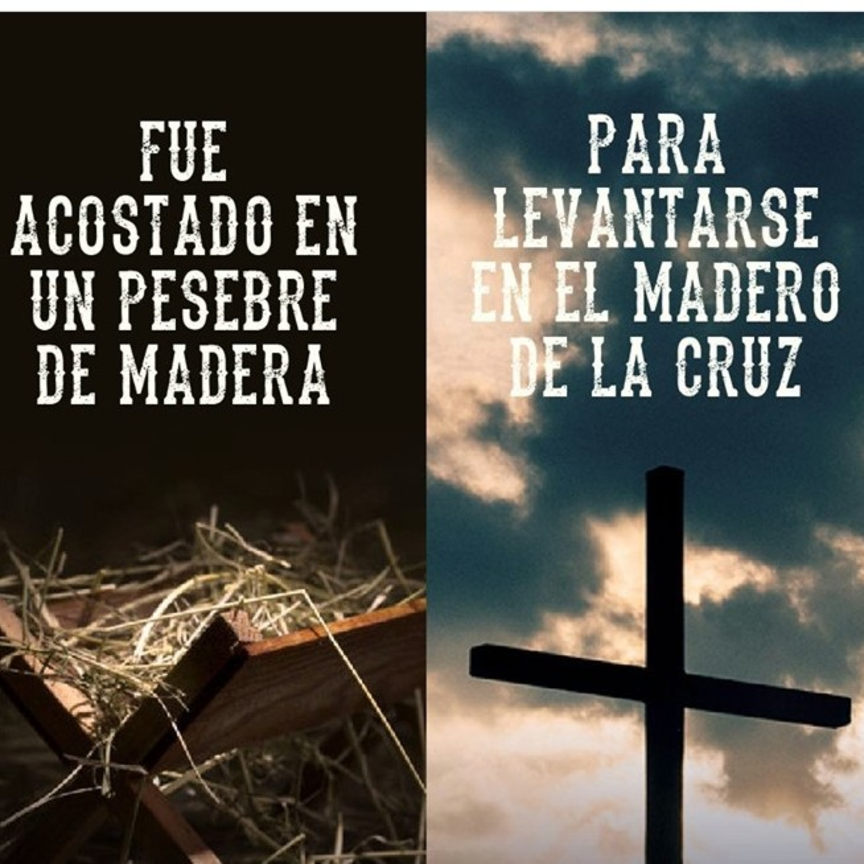 Palabra que renueva
