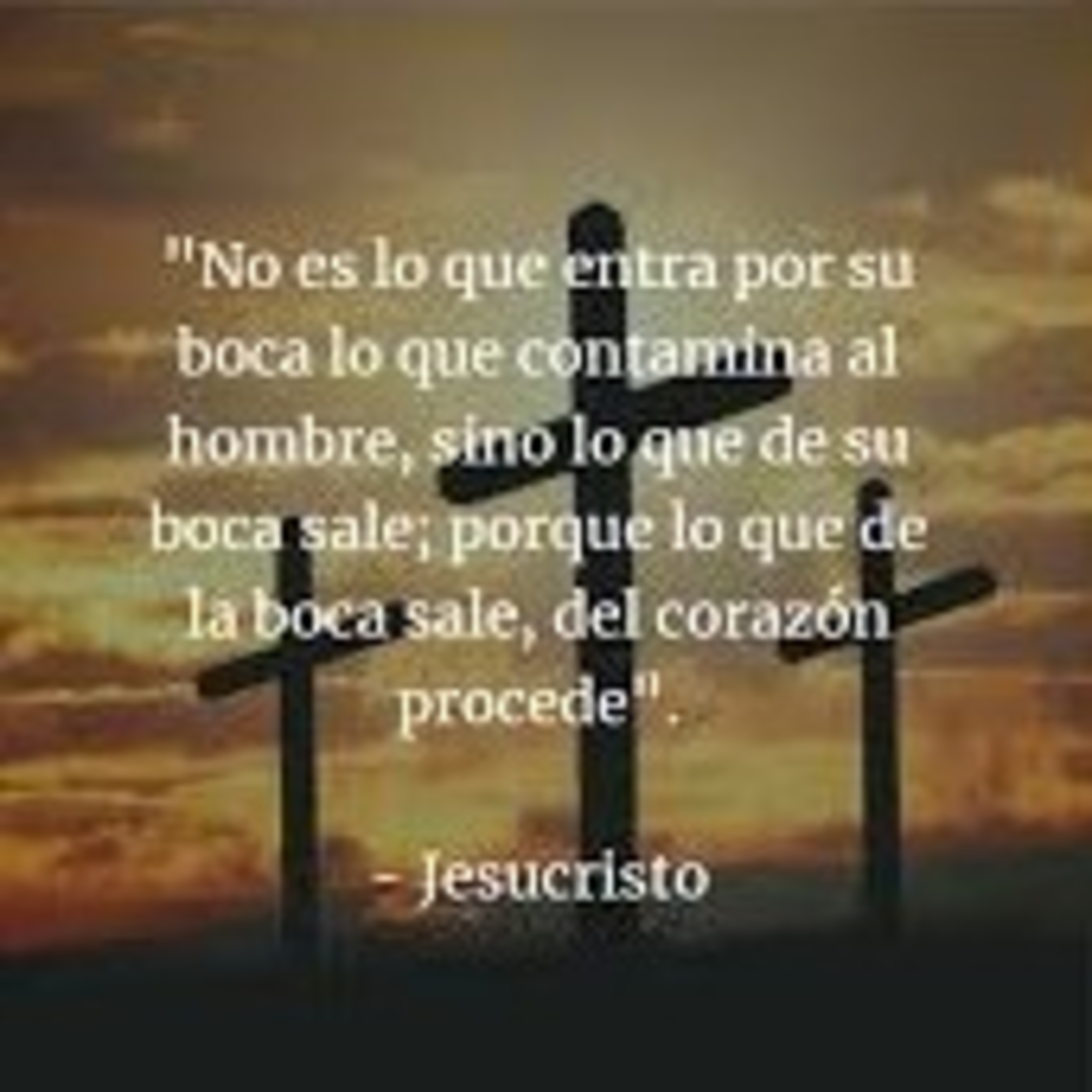 Palabra que renueva