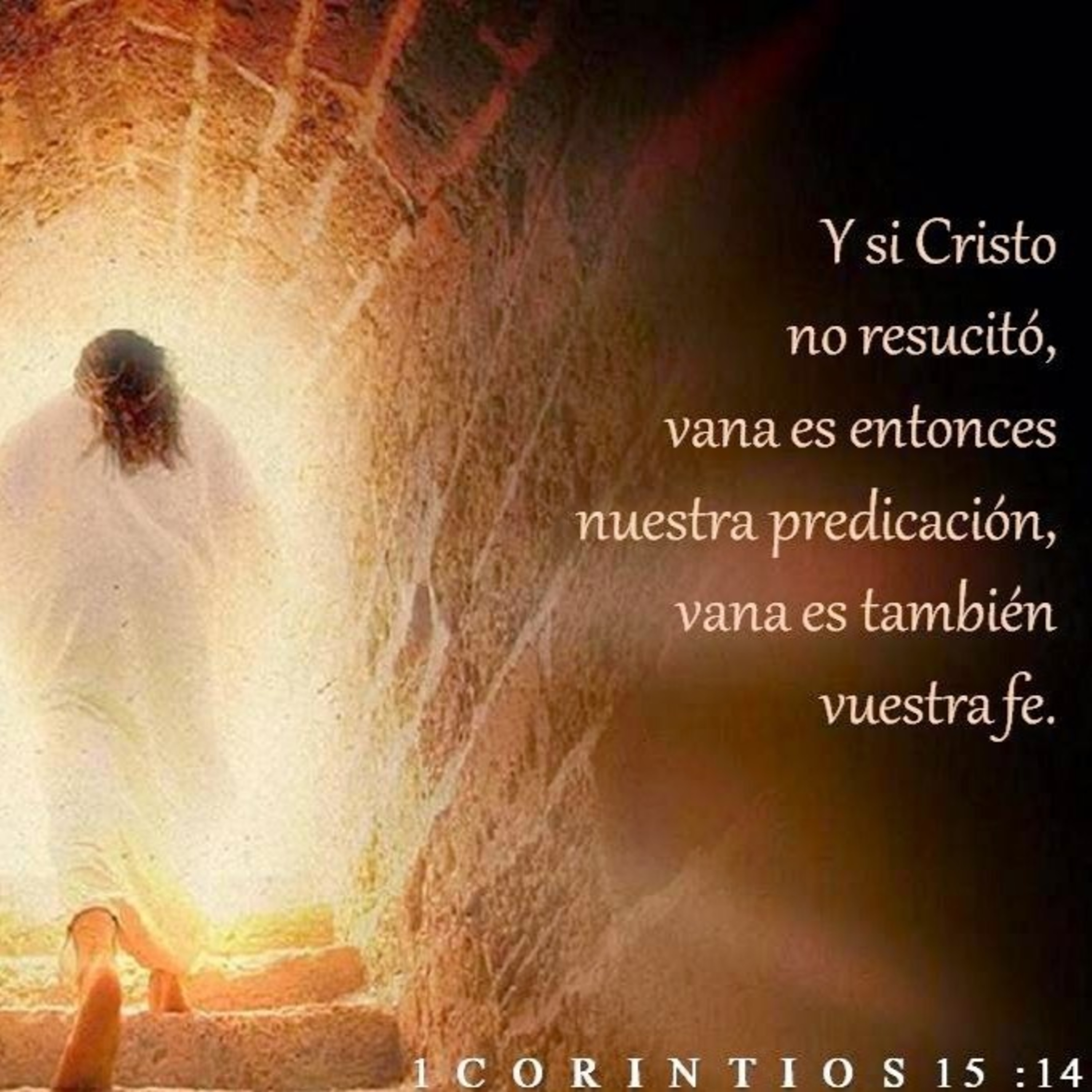 Palabra que renueva