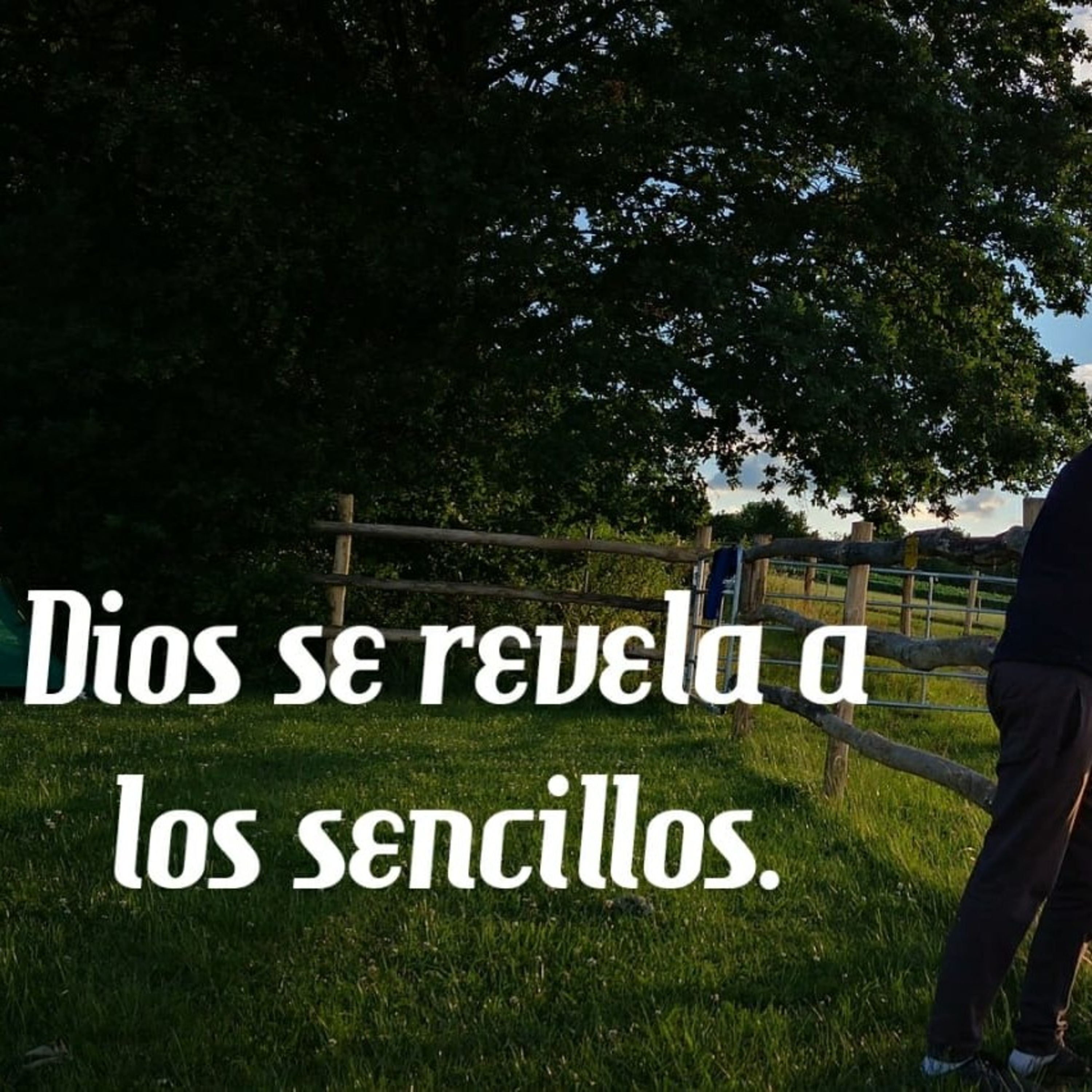 Palabra que renueva