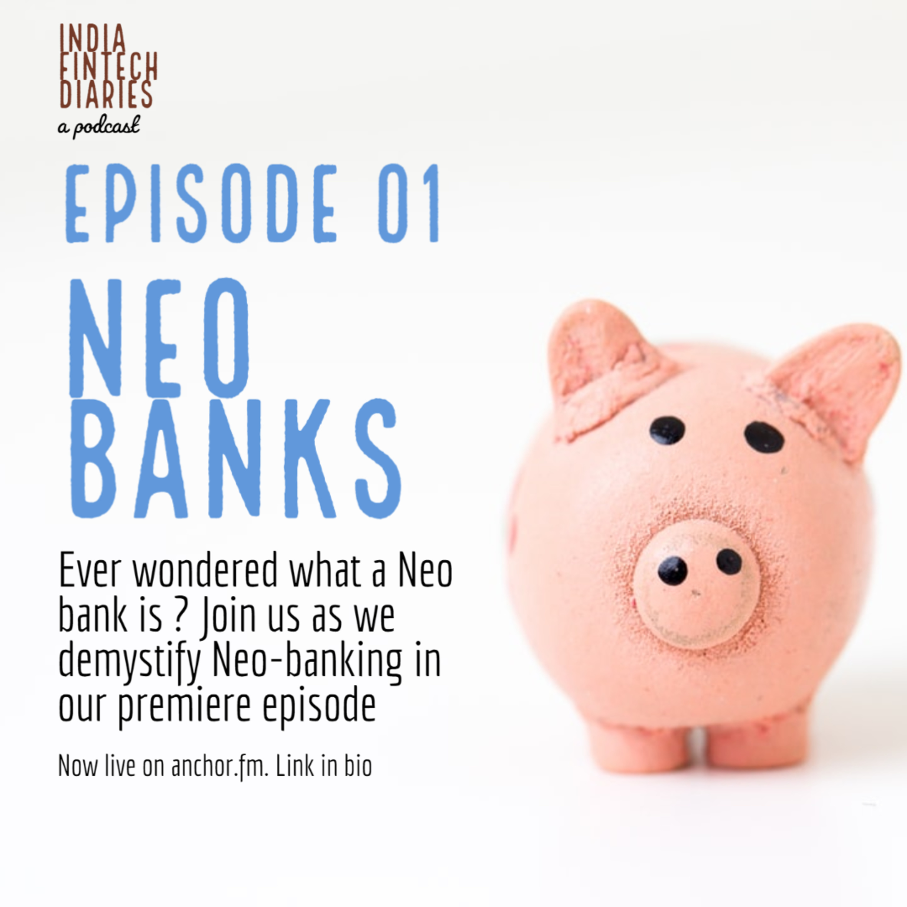 The India FinTech Diaries