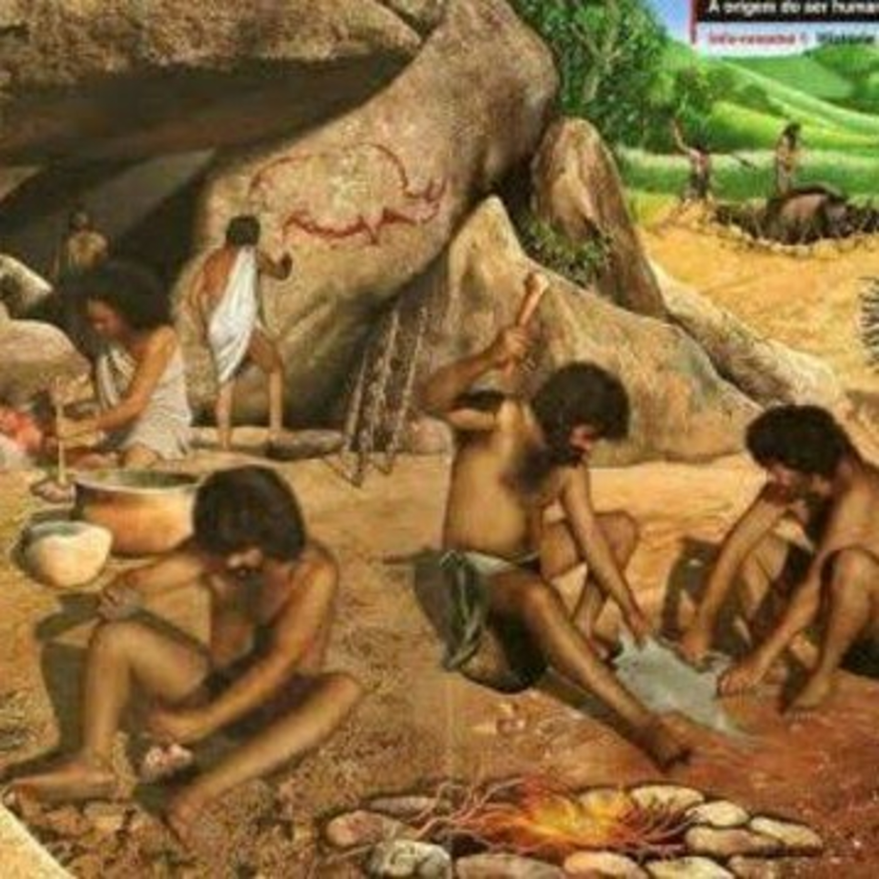 Amo História