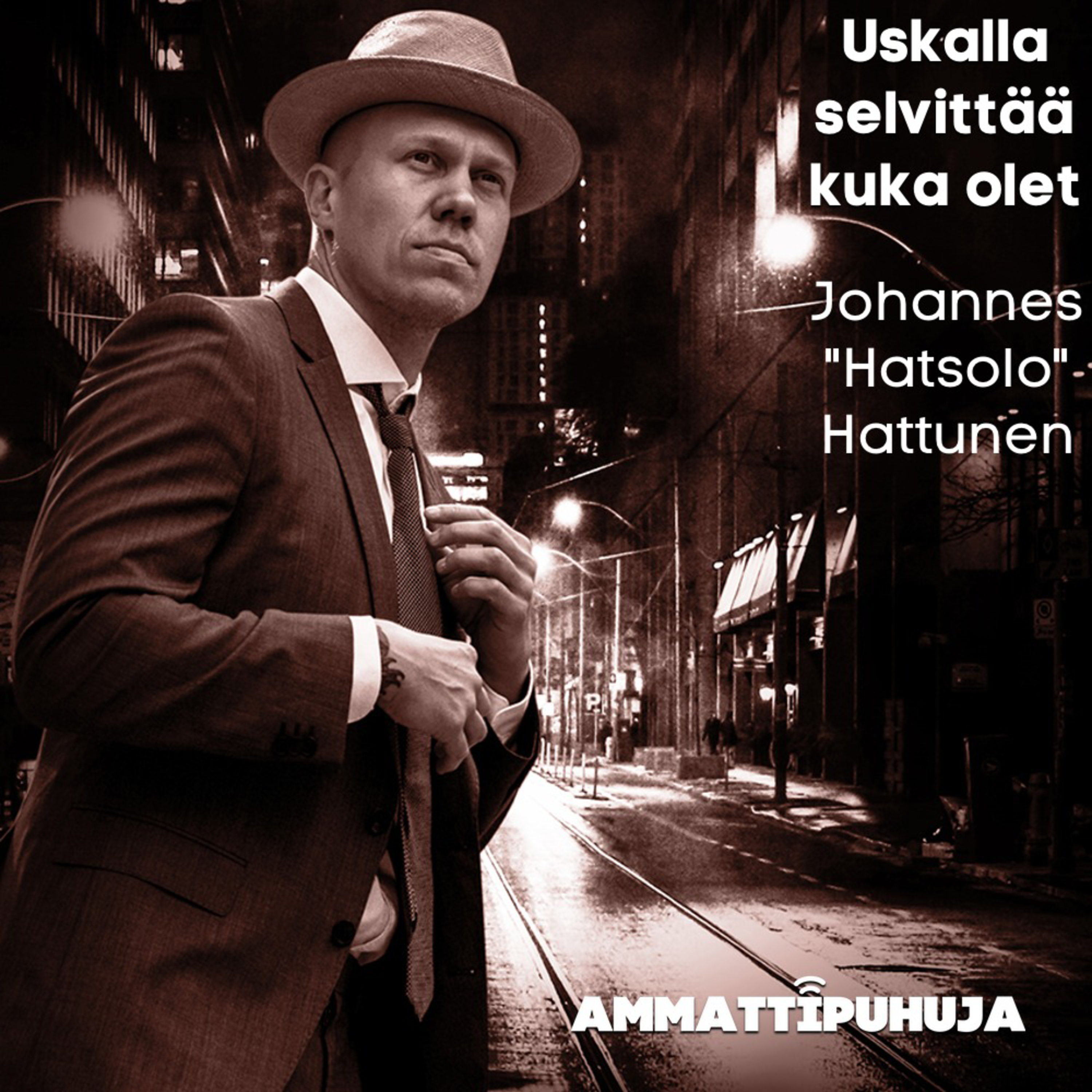 Ammattipuhuja