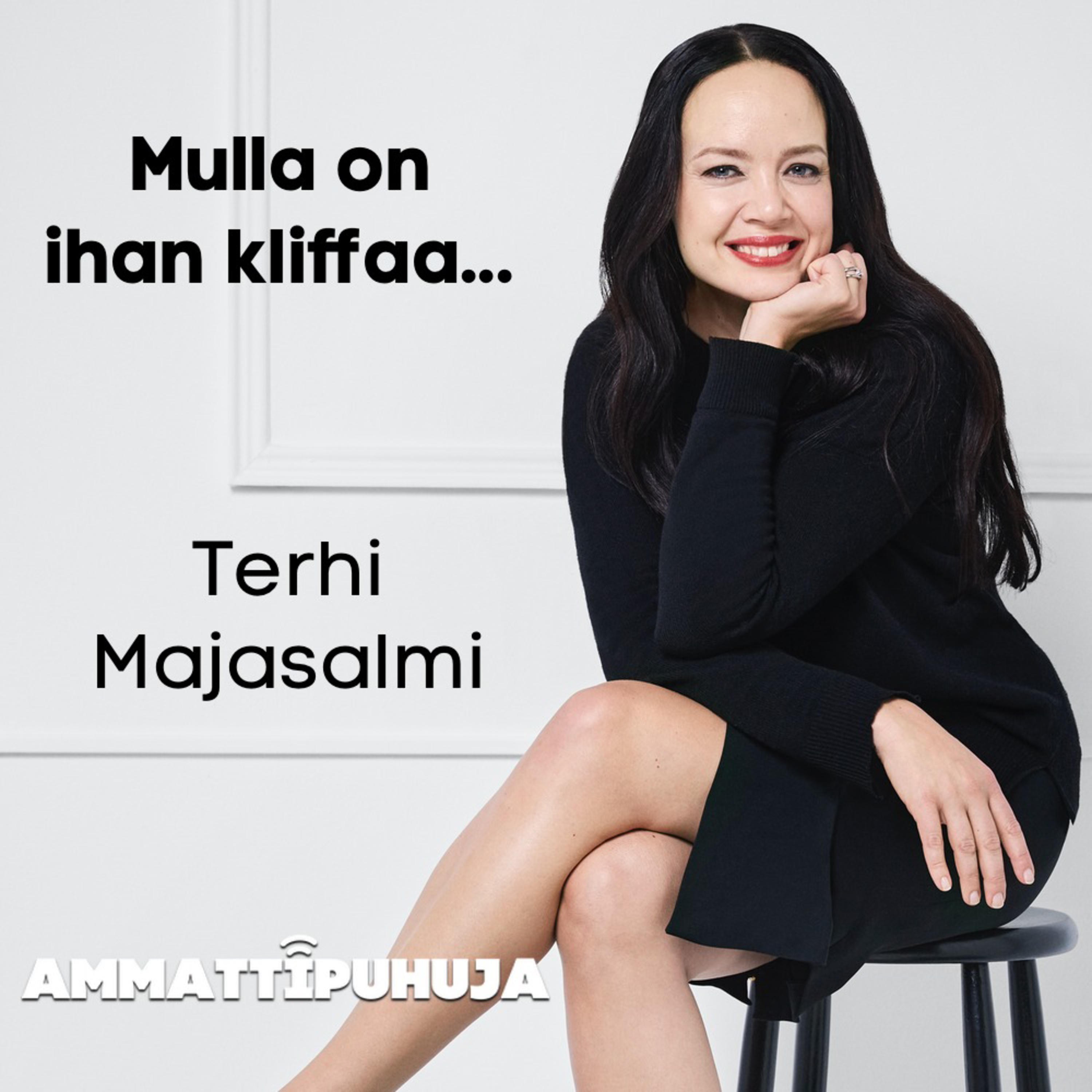 Ammattipuhuja