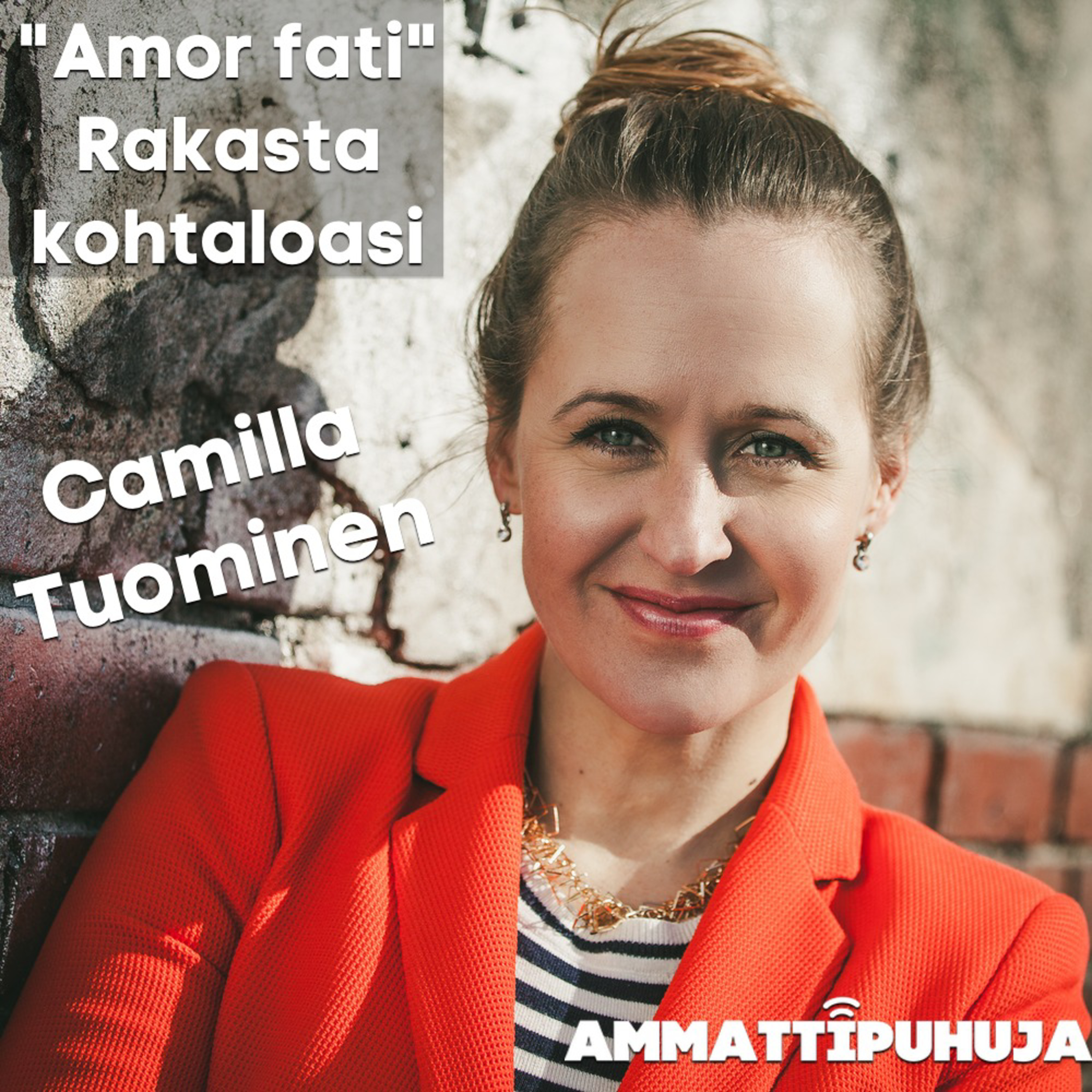 Ammattipuhuja
