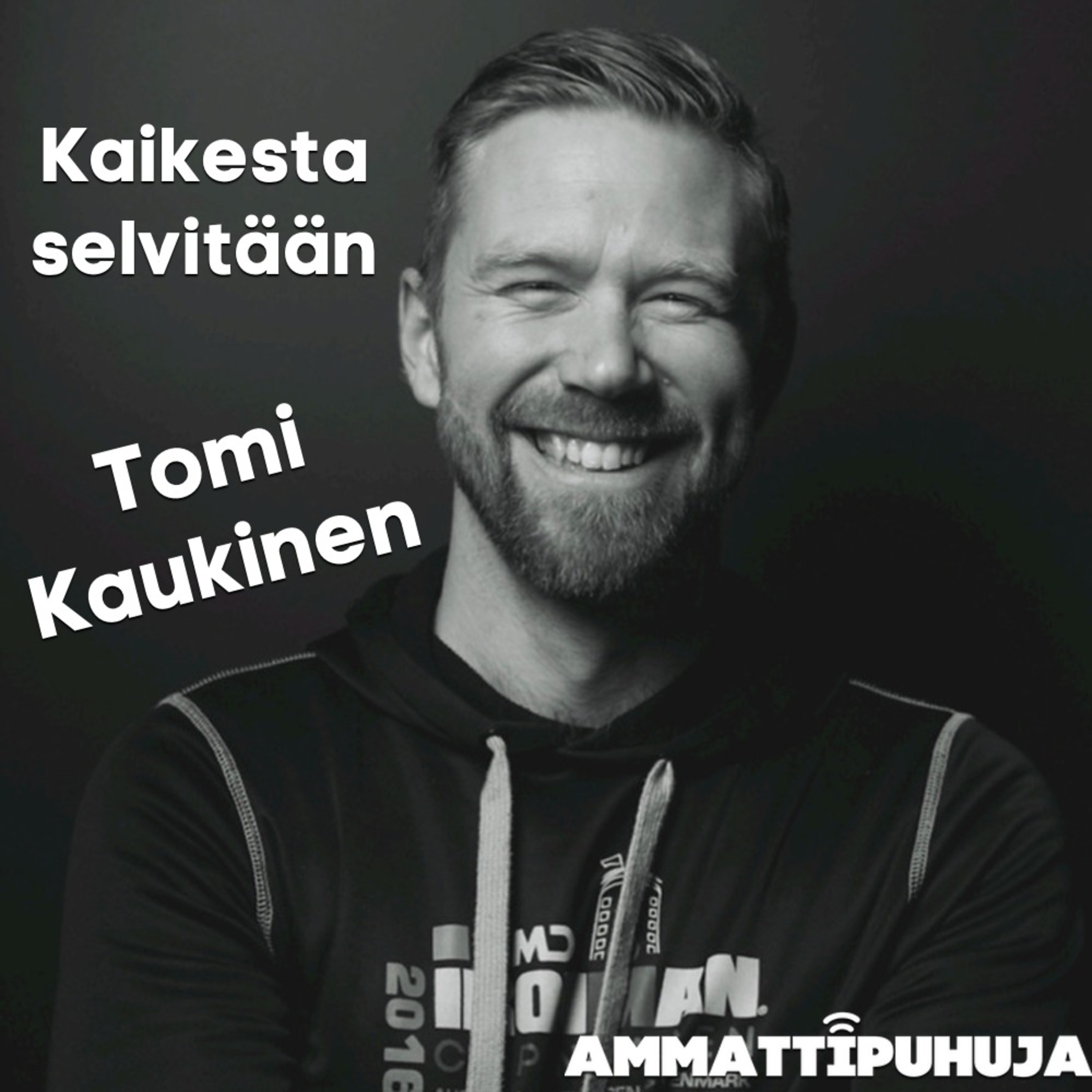 Ammattipuhuja