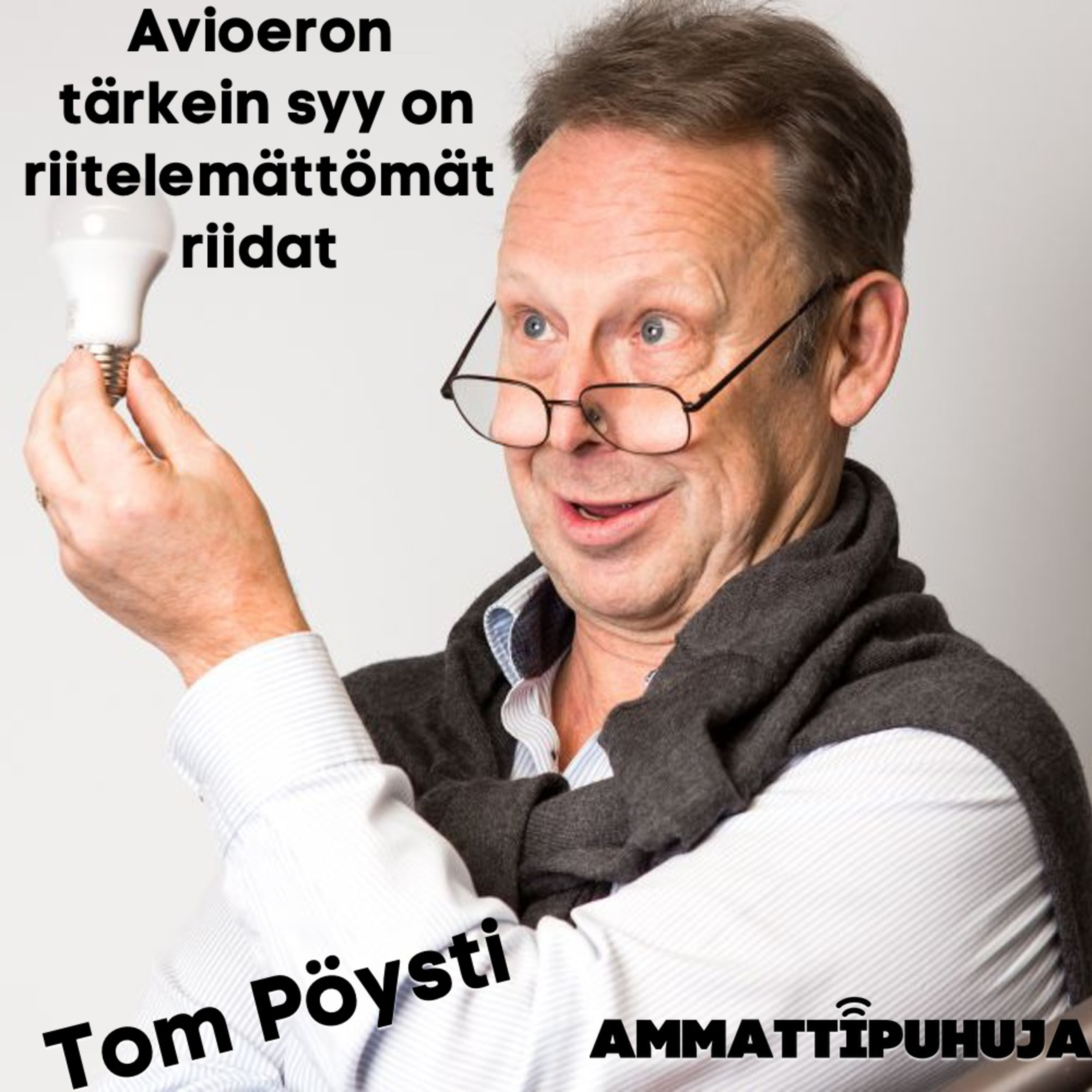 Ammattipuhuja