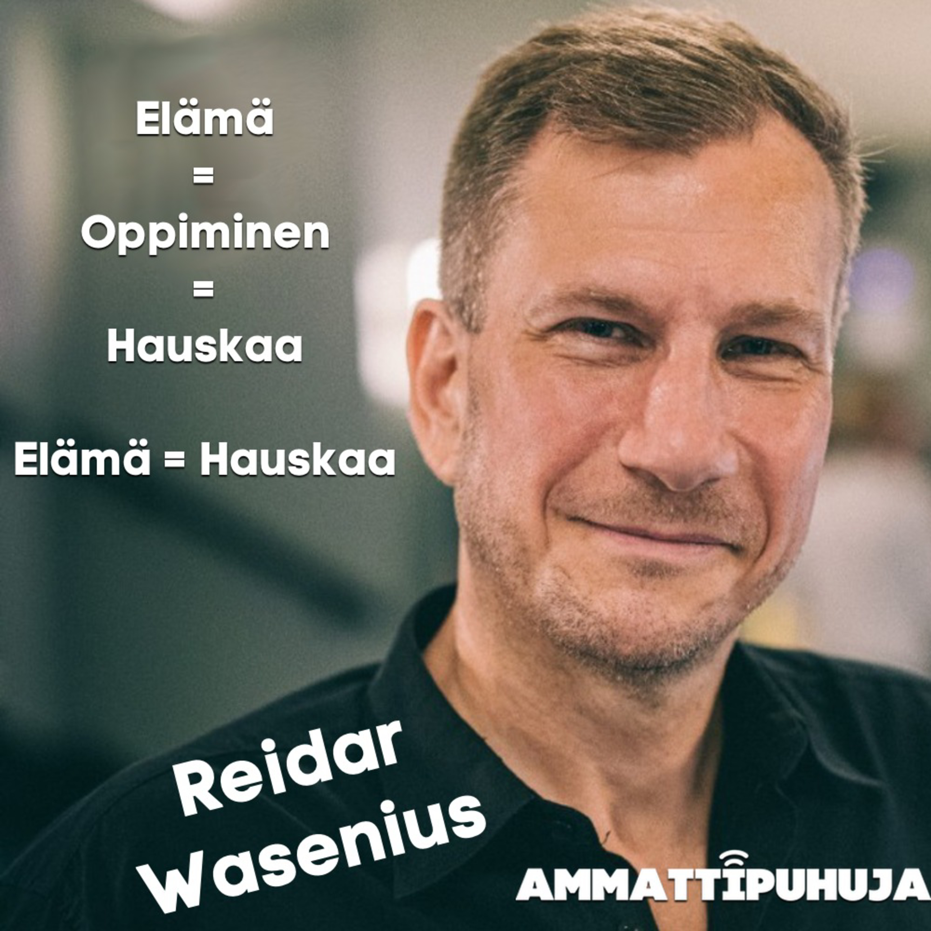 Ammattipuhuja