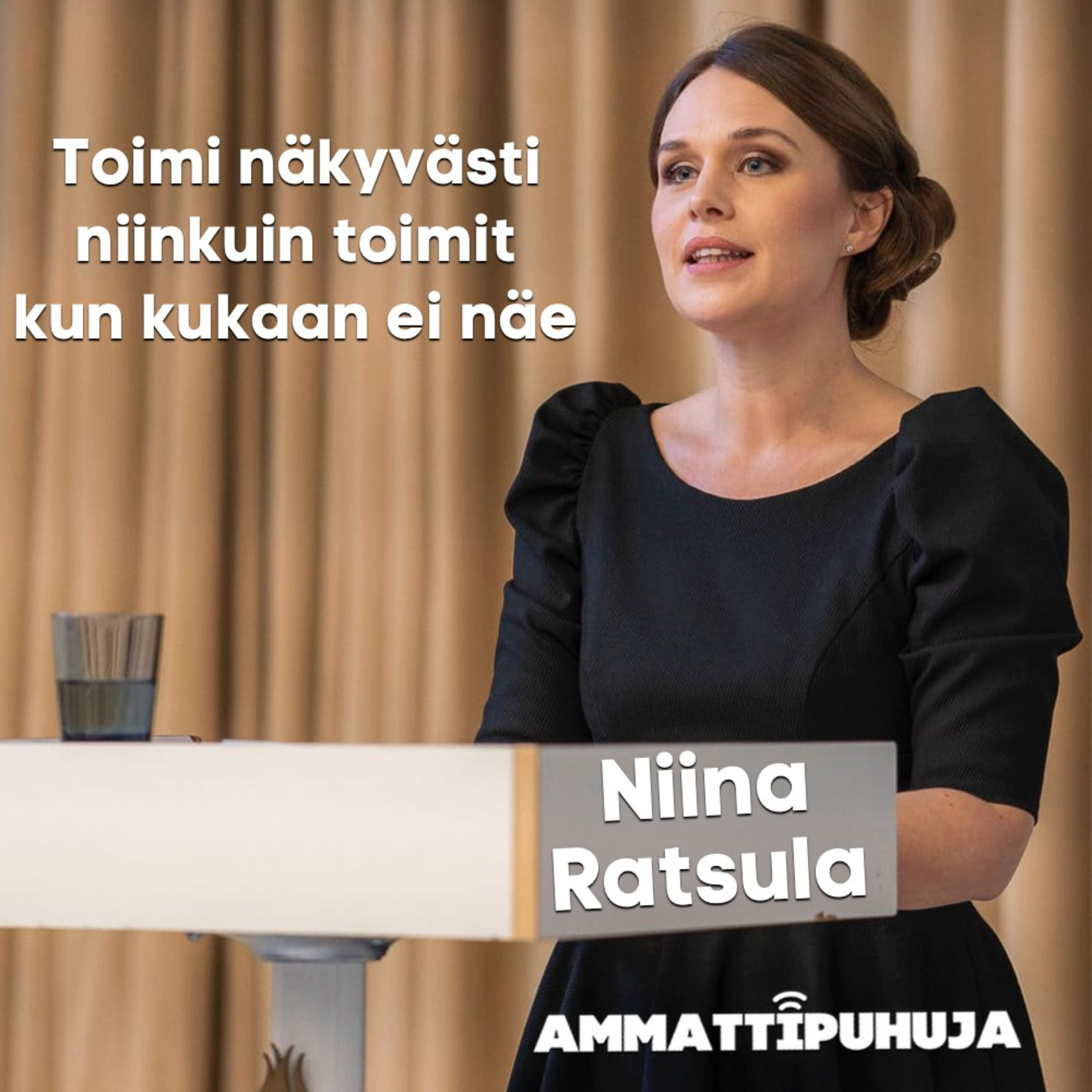 Ammattipuhuja
