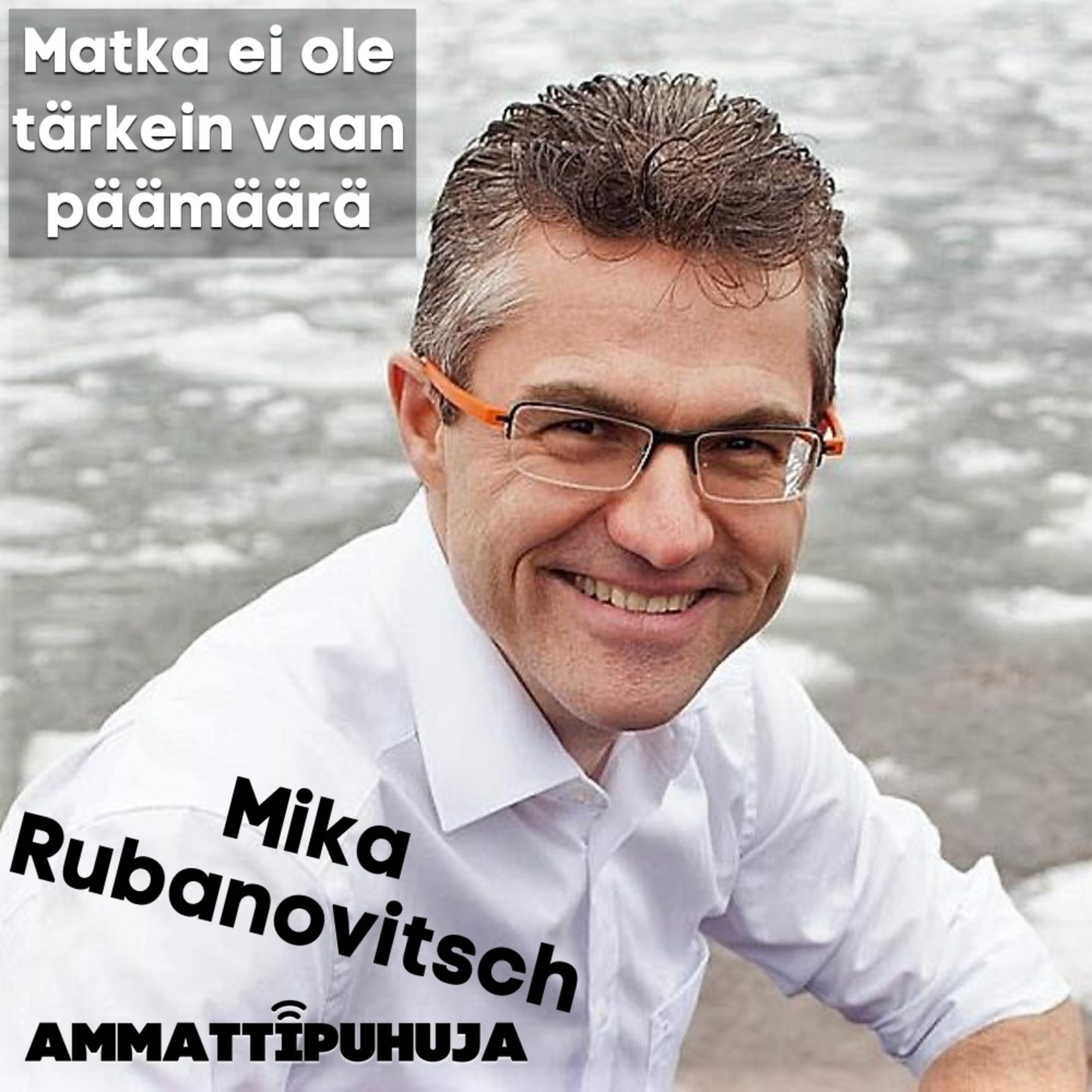 Ammattipuhuja