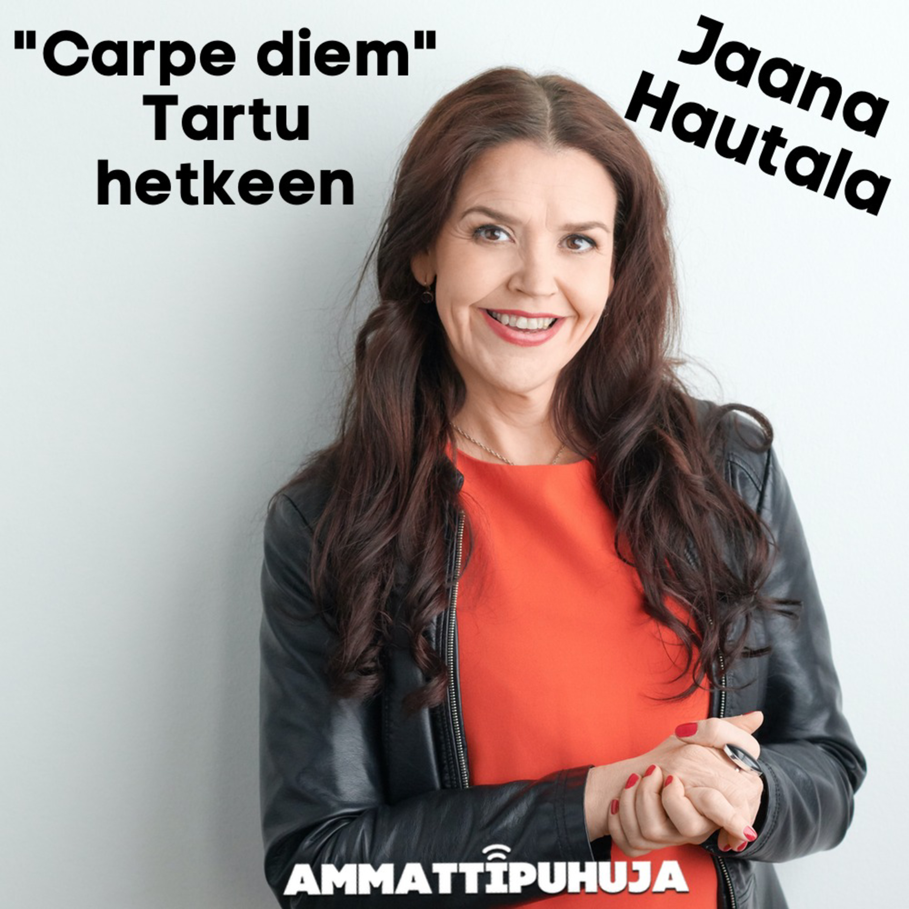 Ammattipuhuja