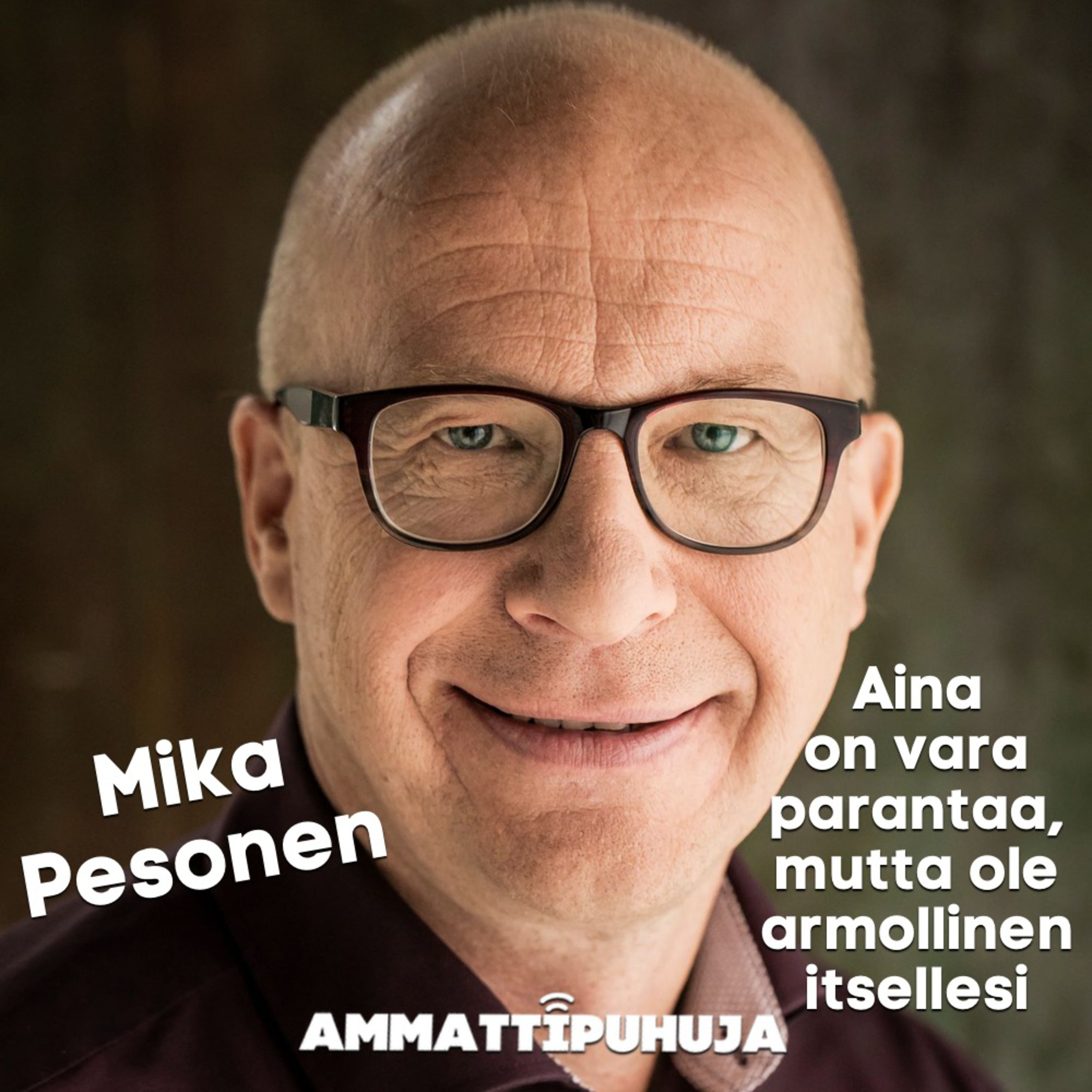 Ammattipuhuja