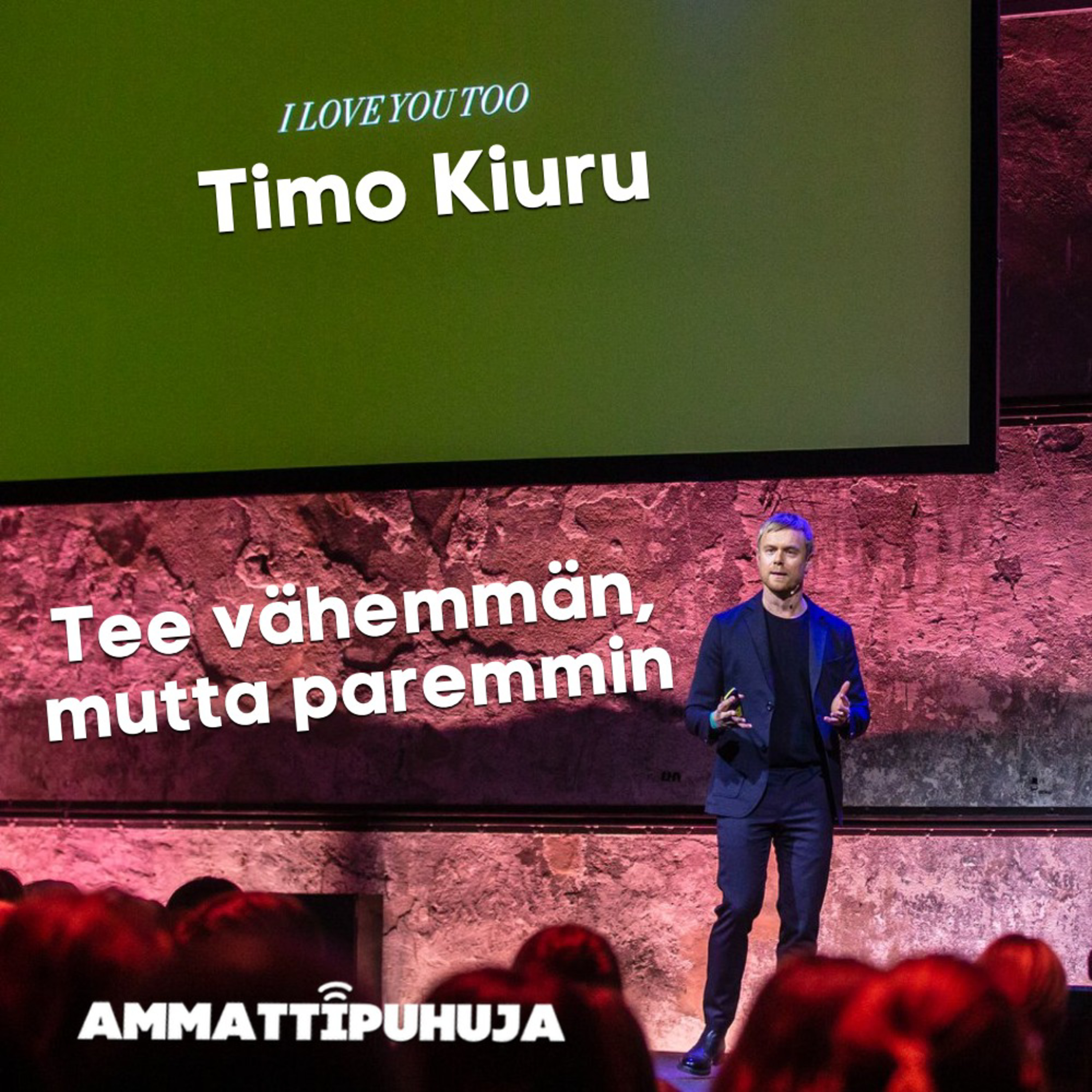 Ammattipuhuja