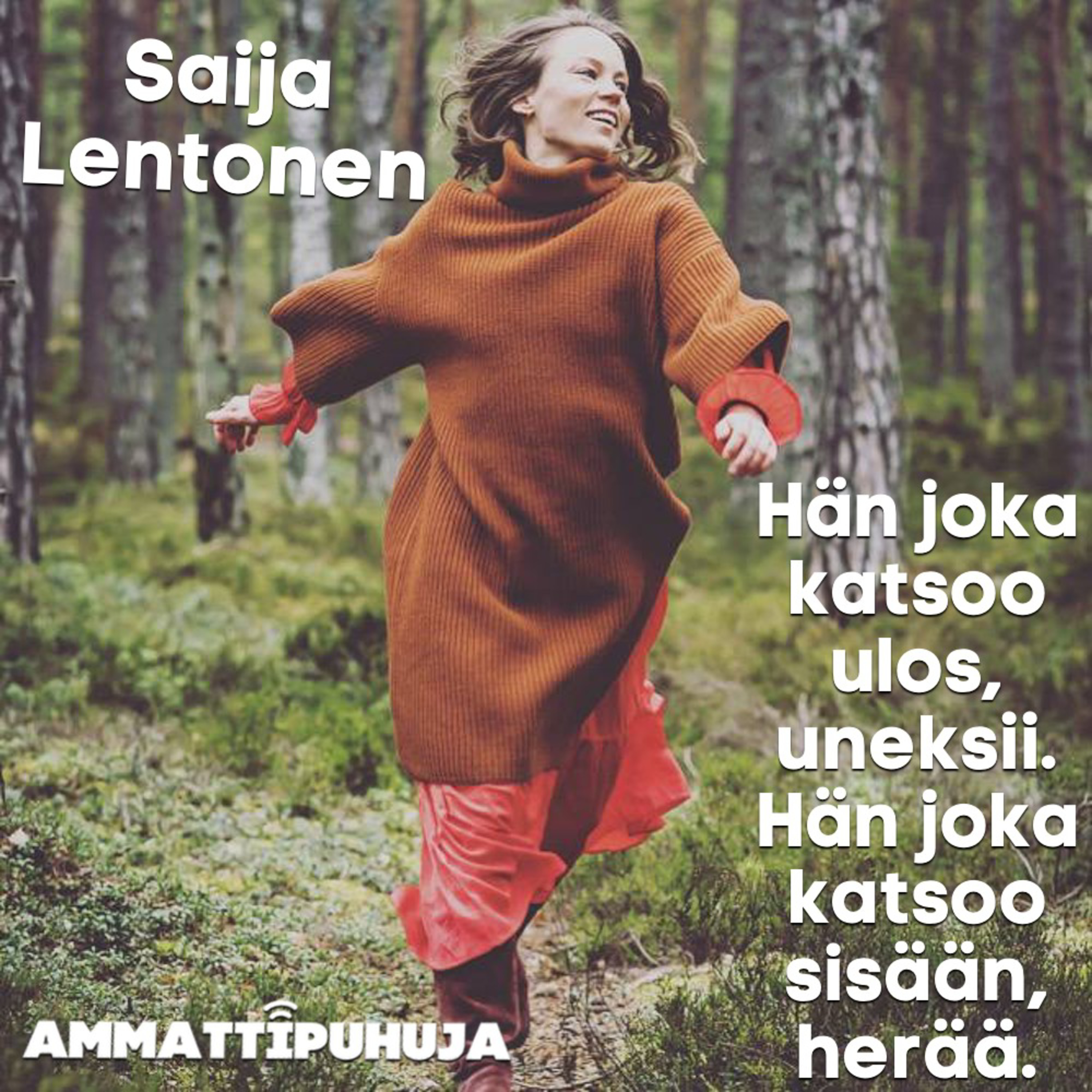 Ammattipuhuja