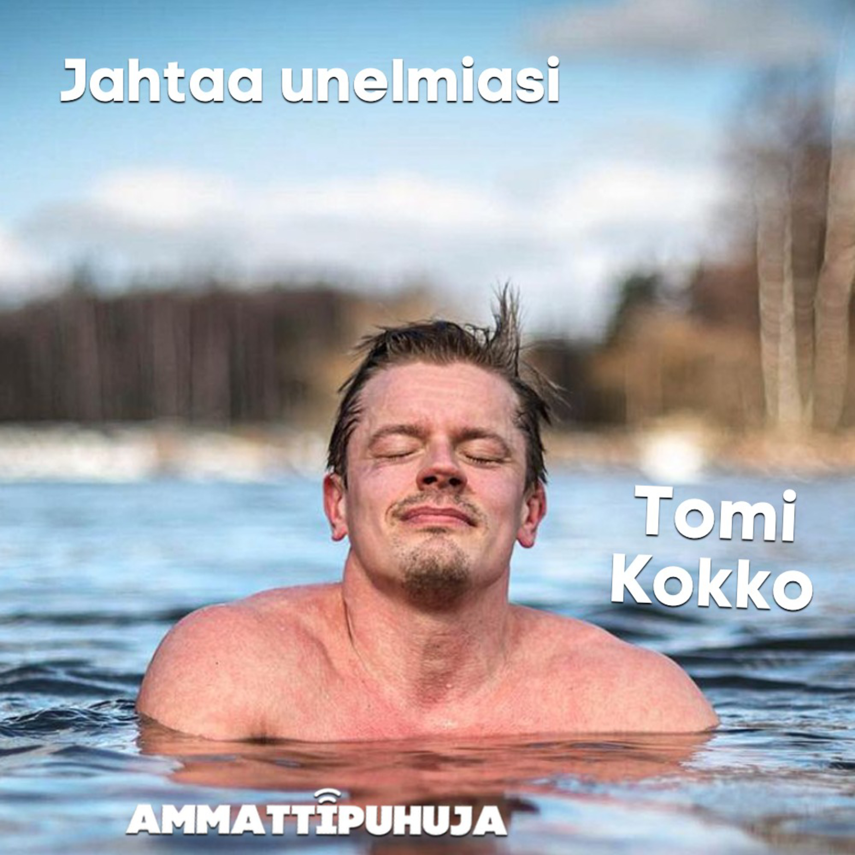 Ammattipuhuja