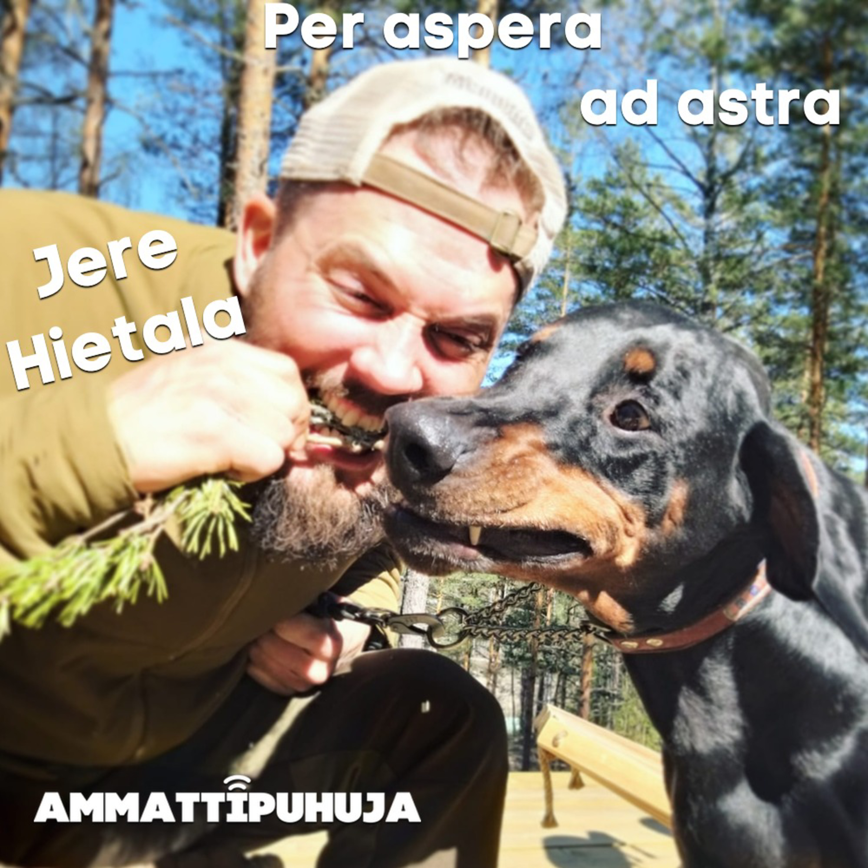 Ammattipuhuja
