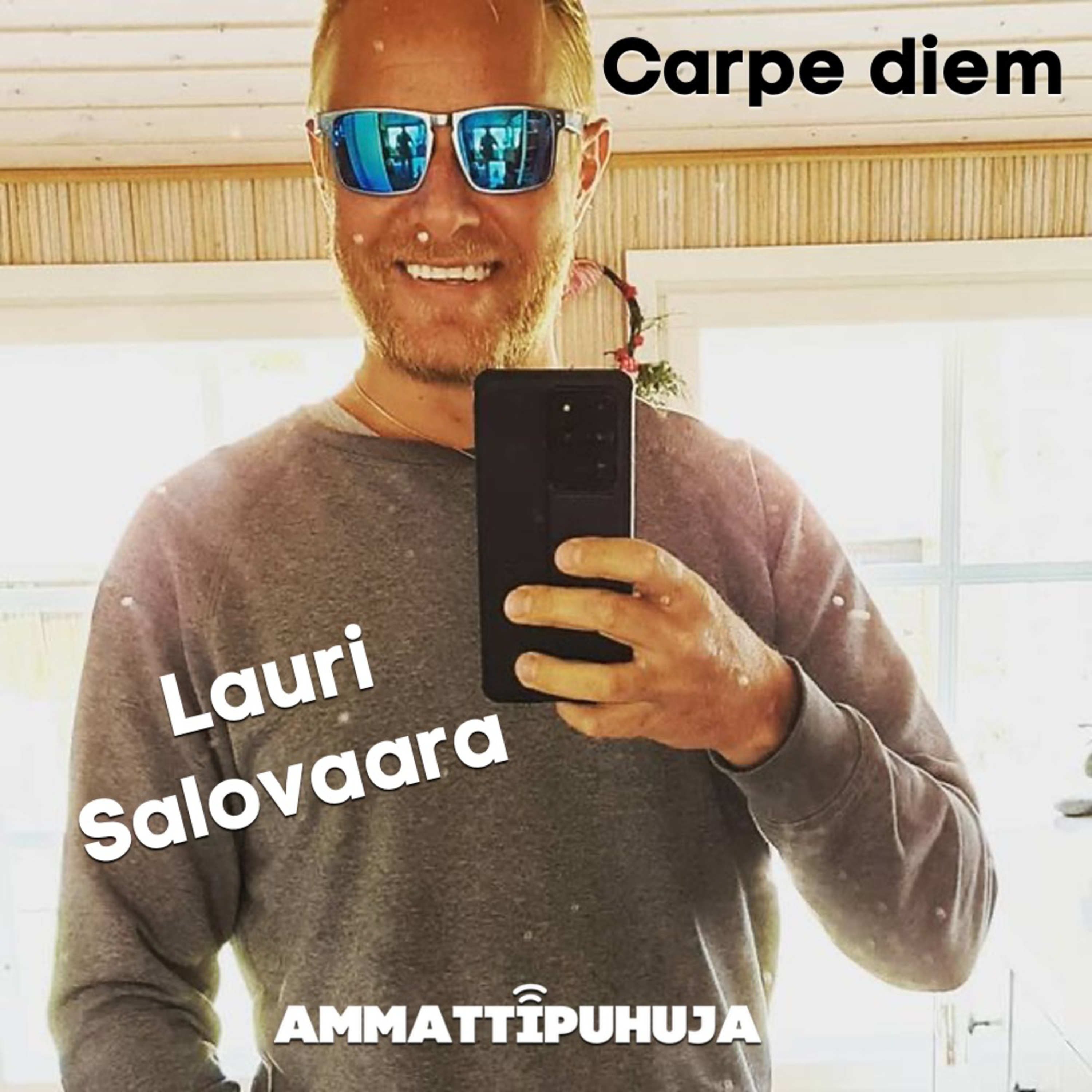 Ammattipuhuja