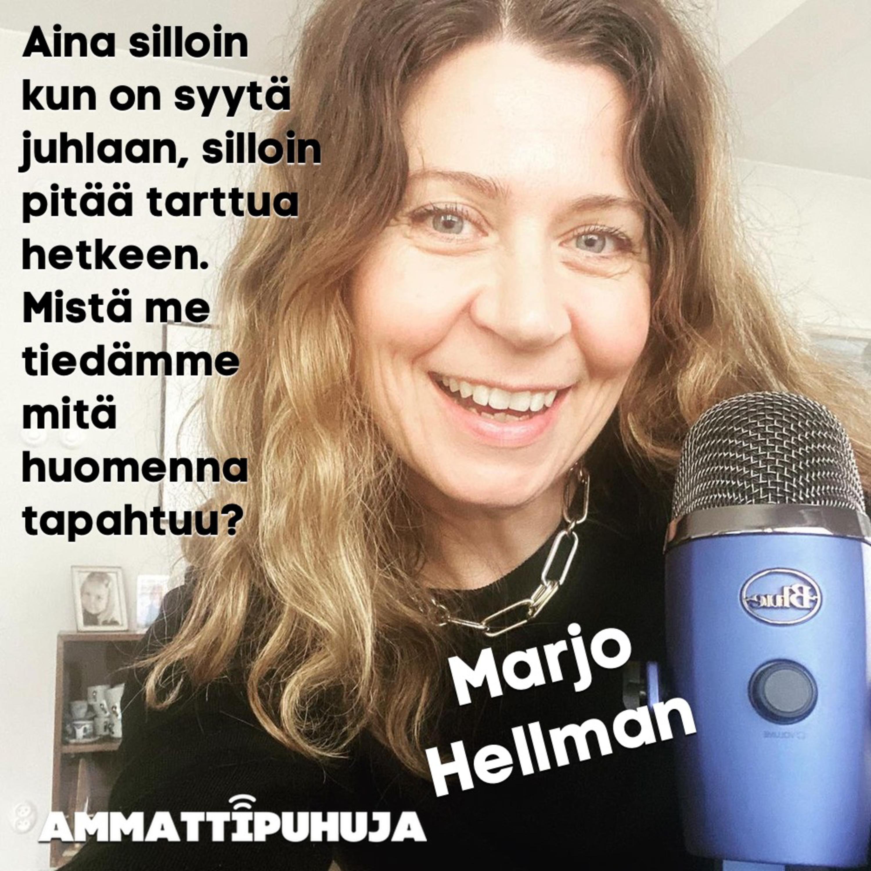 Ammattipuhuja