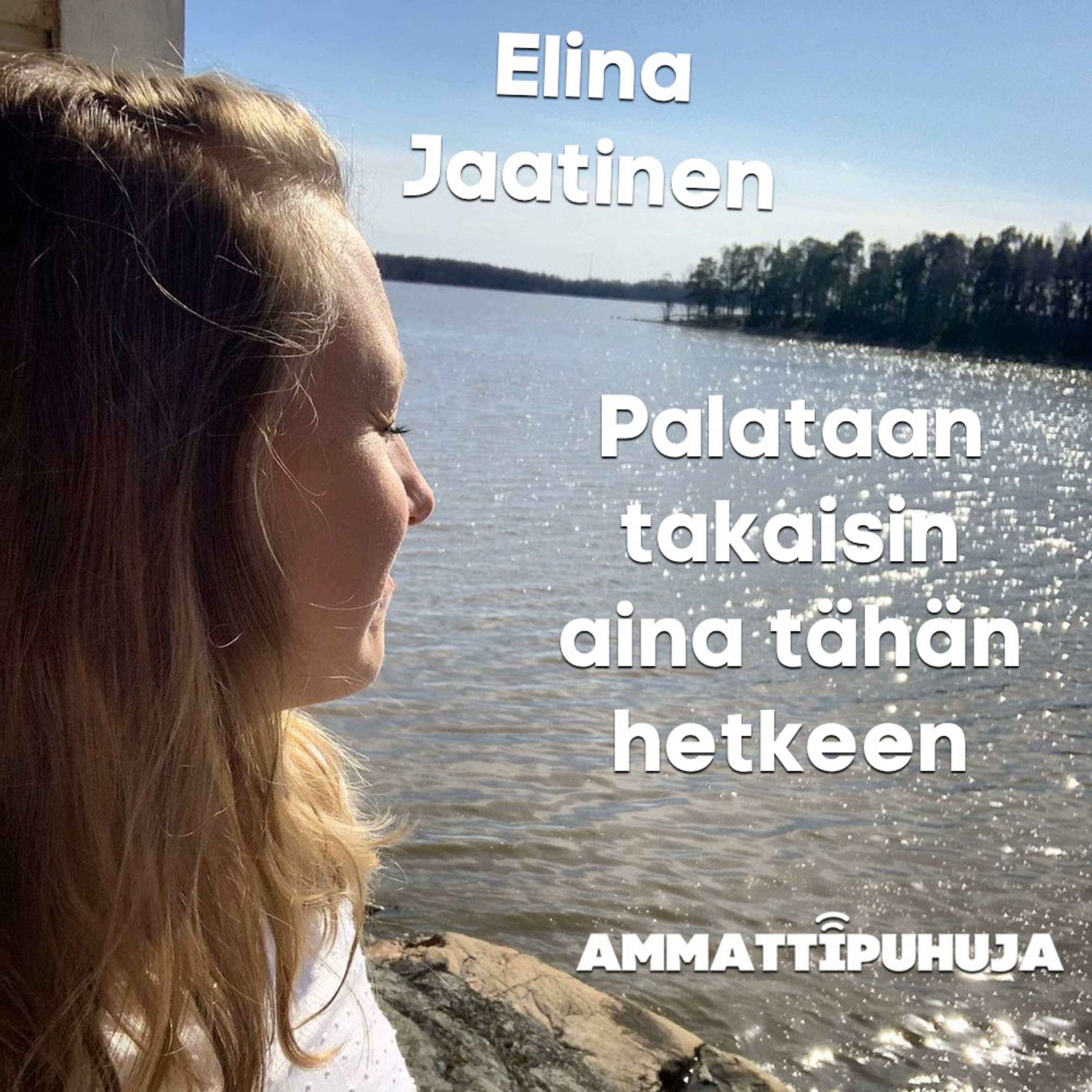 Ammattipuhuja