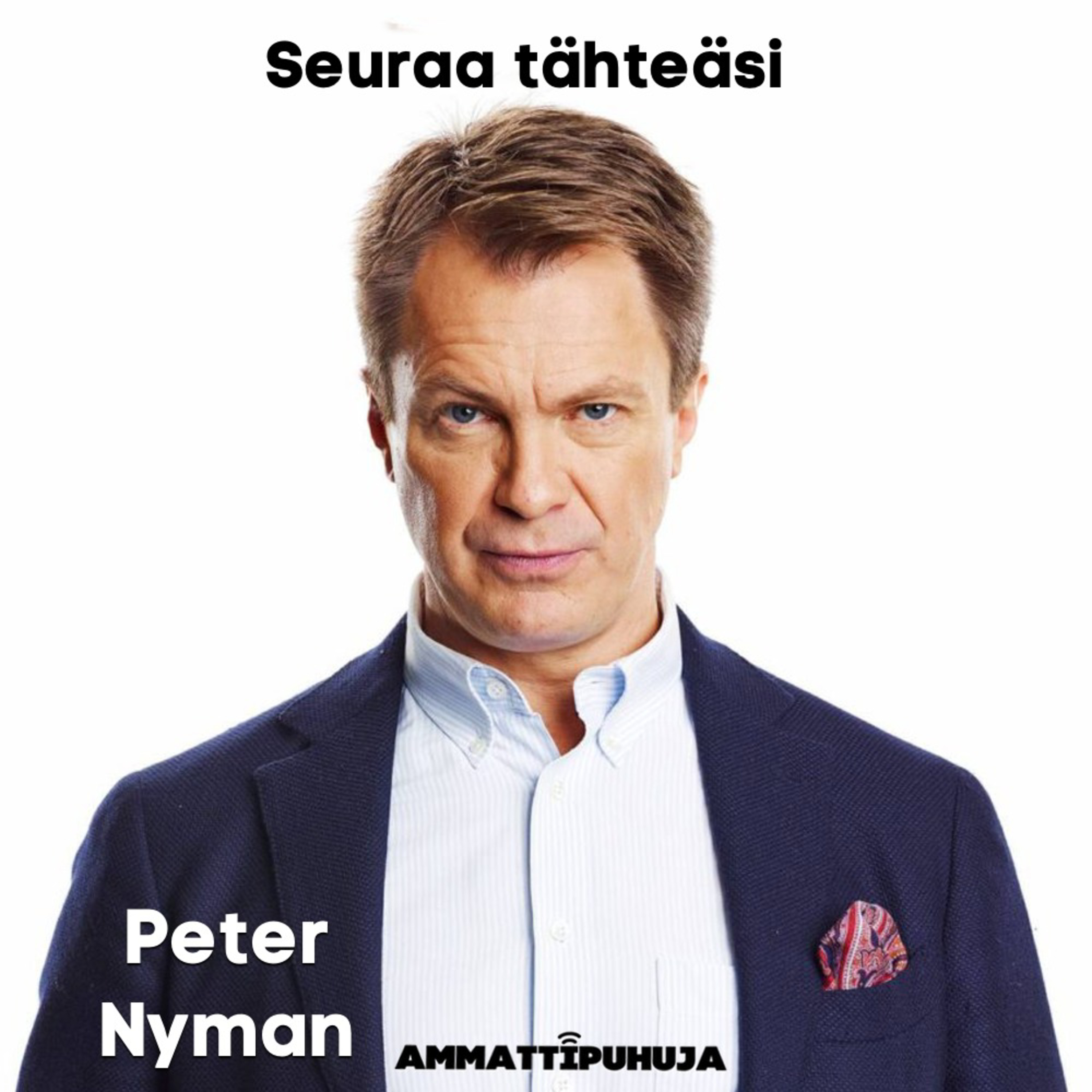 Ammattipuhuja