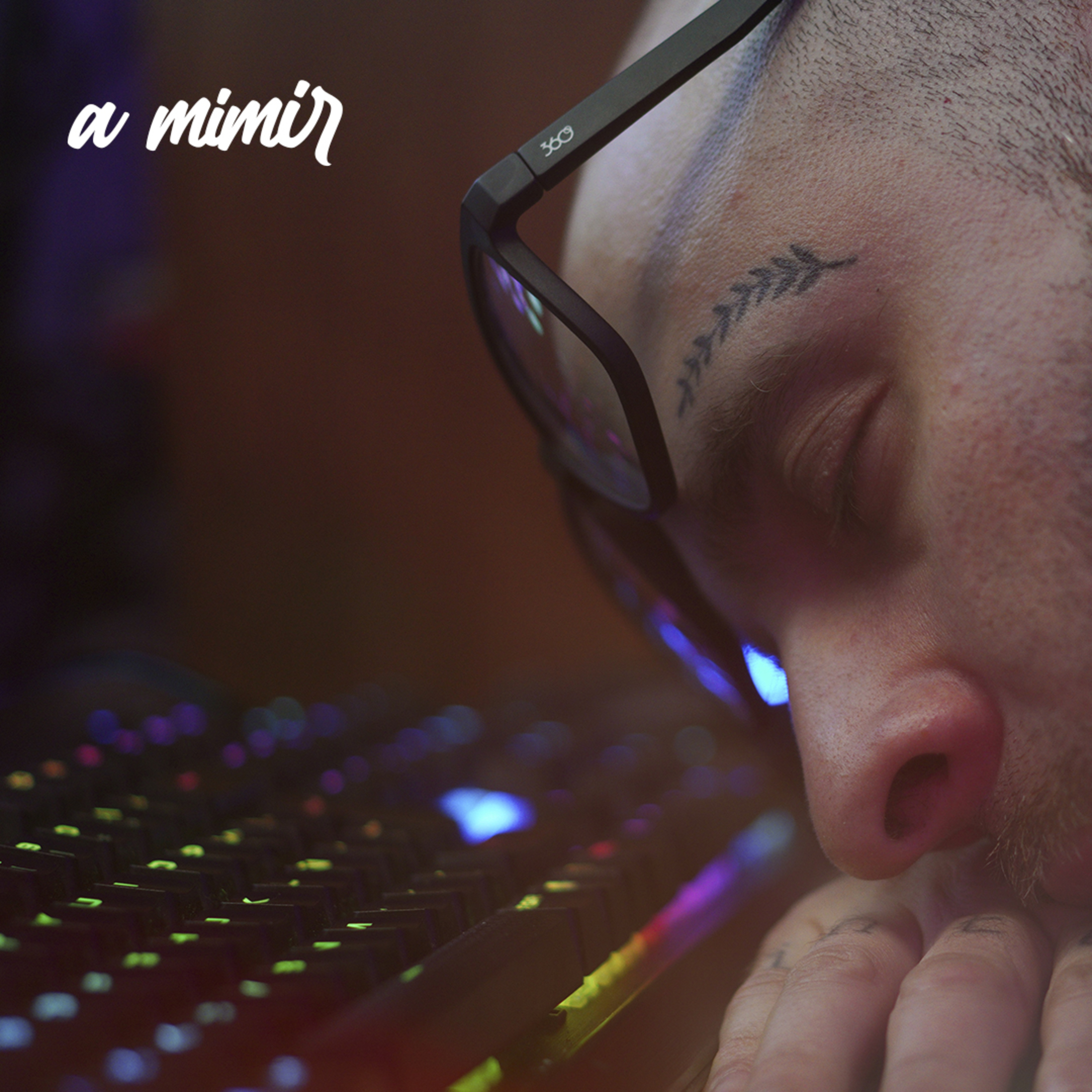 a mimir 10 - mis laburos