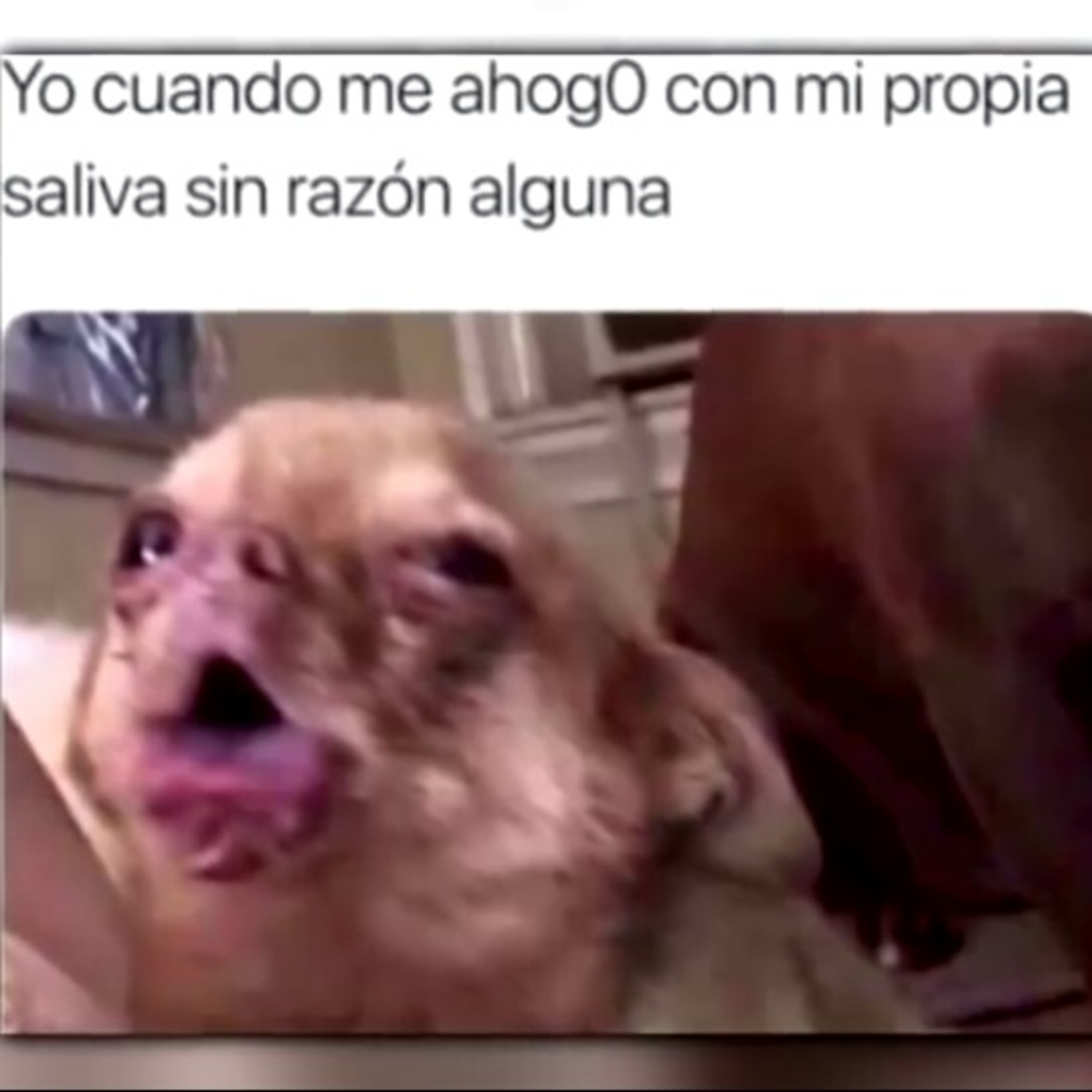 \