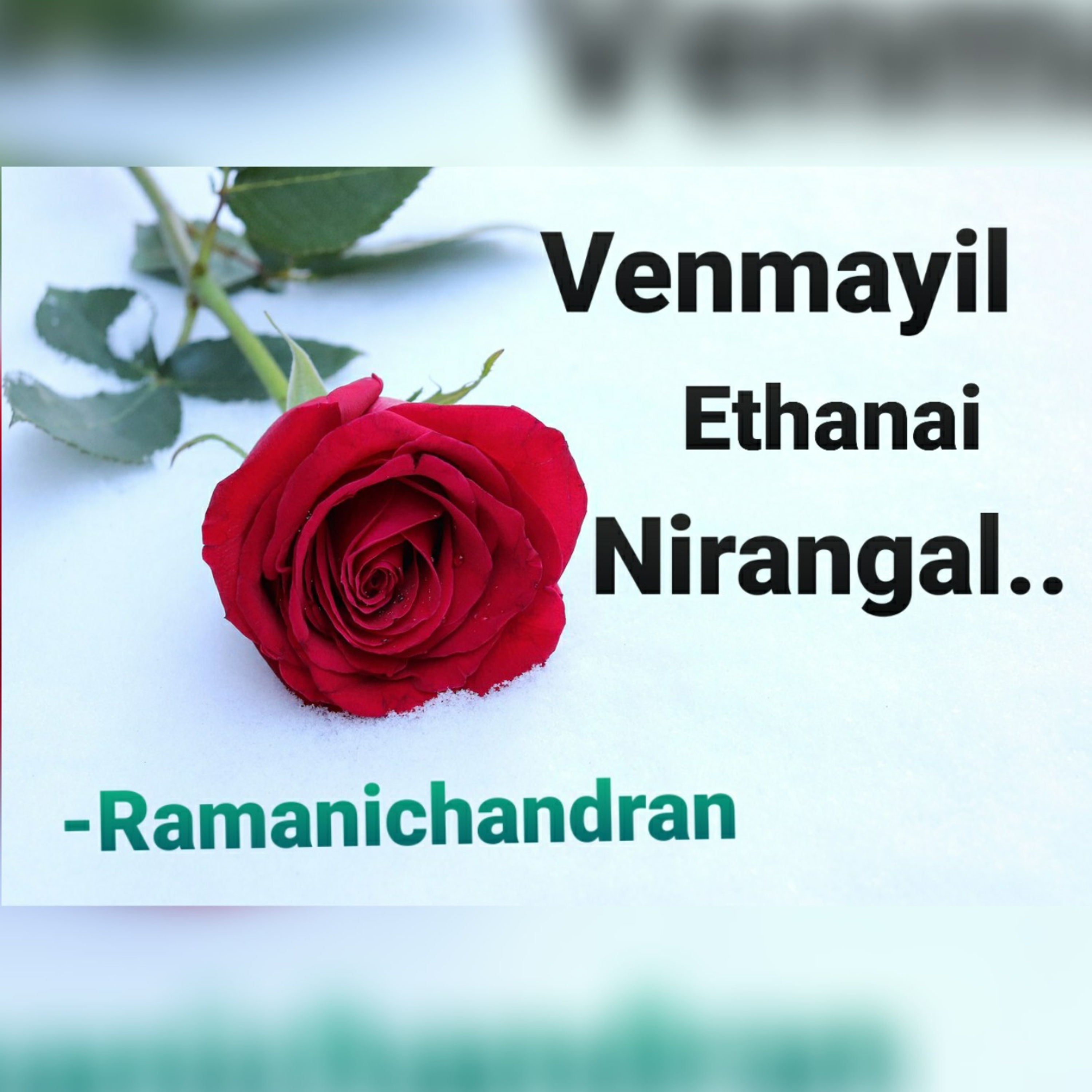 Episode - 6 Ramanichandran - Tamil - story - Novel VENMAYIL ETHANAI NIRANGAL