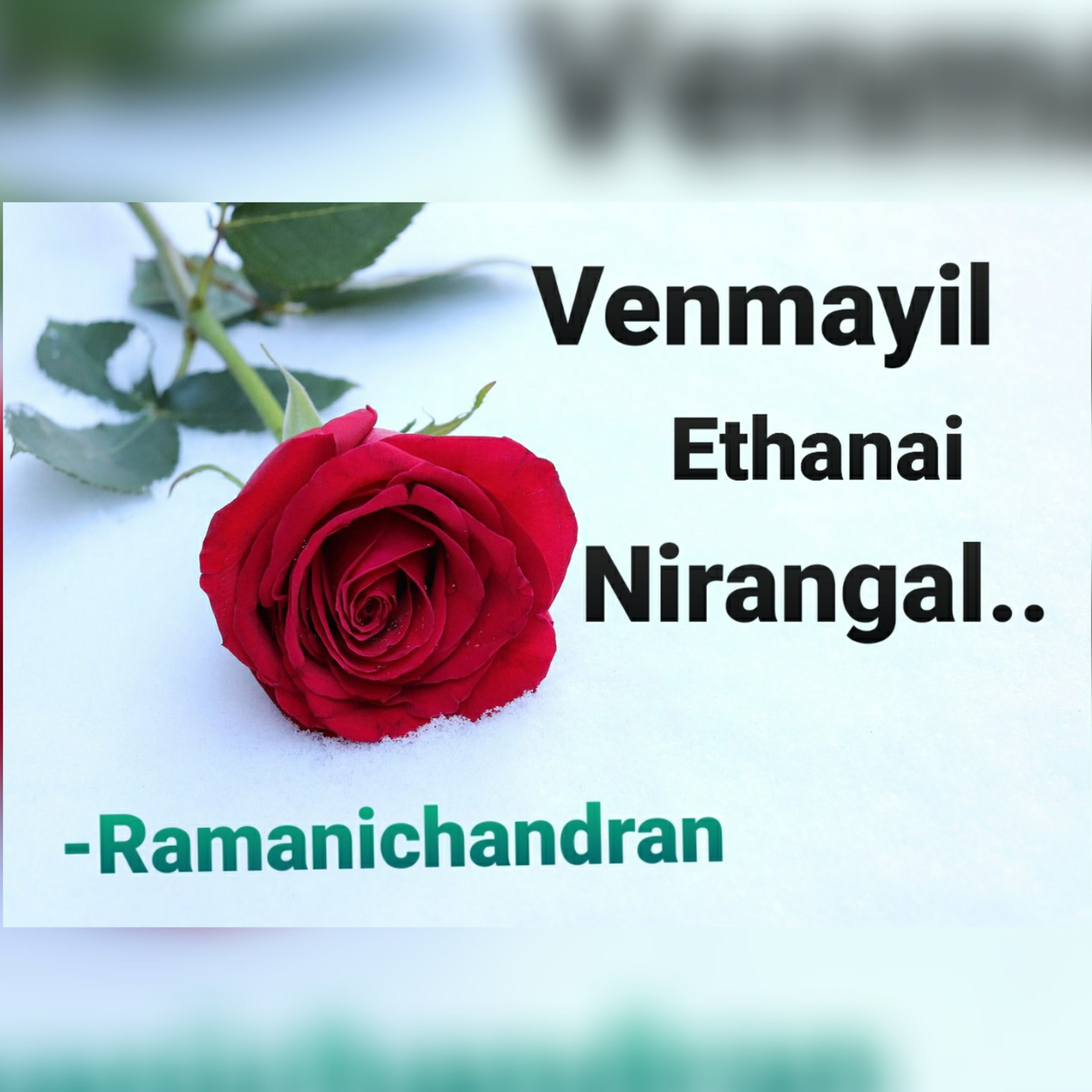 Episode - 8 Ramanichandran - Tamil - story - Novel VENMAYIL ETHANAI NIRANGAL