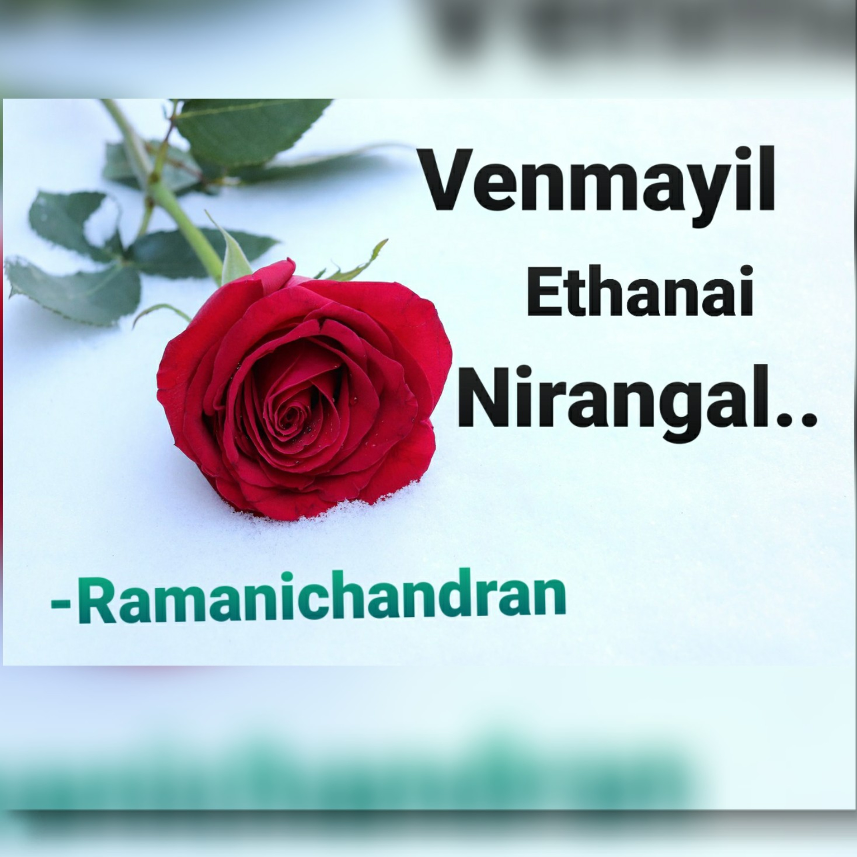 Episode - 10 Ramanichandran - Tamil - story - Novel VENMAYIL ETHANAI NIRANGAL