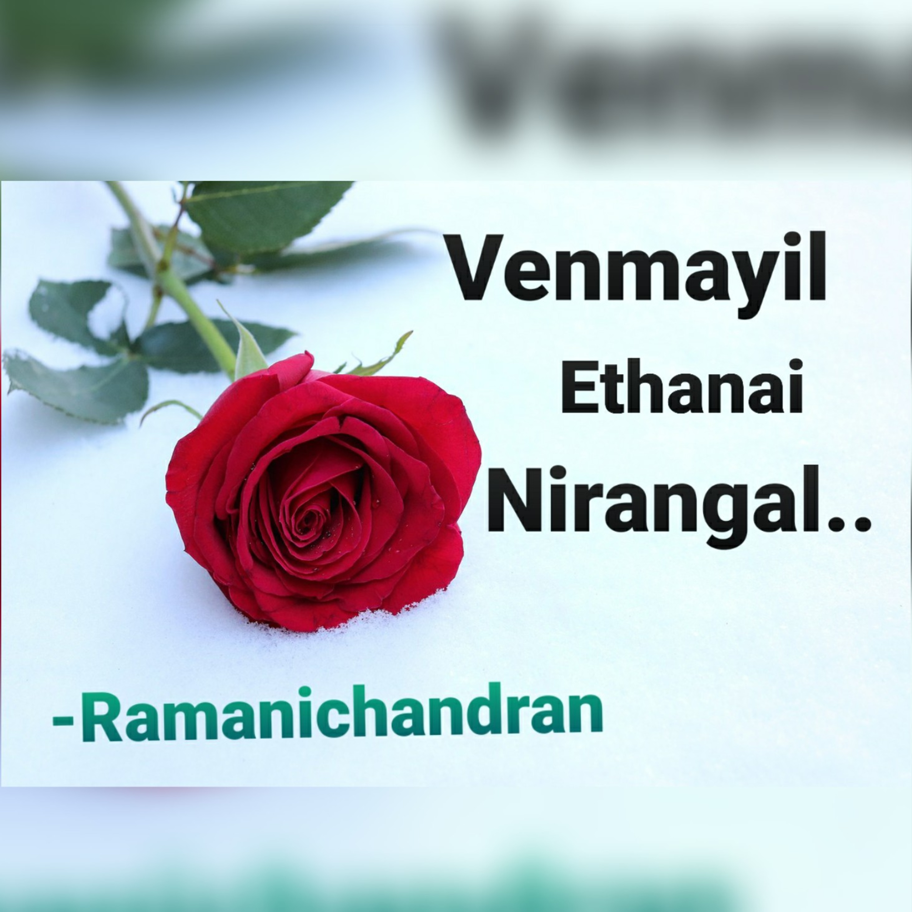 Episode - 12 Ramanichandran - Tamil - story - Novel VENMAYIL ETHANAI NIRANGAL