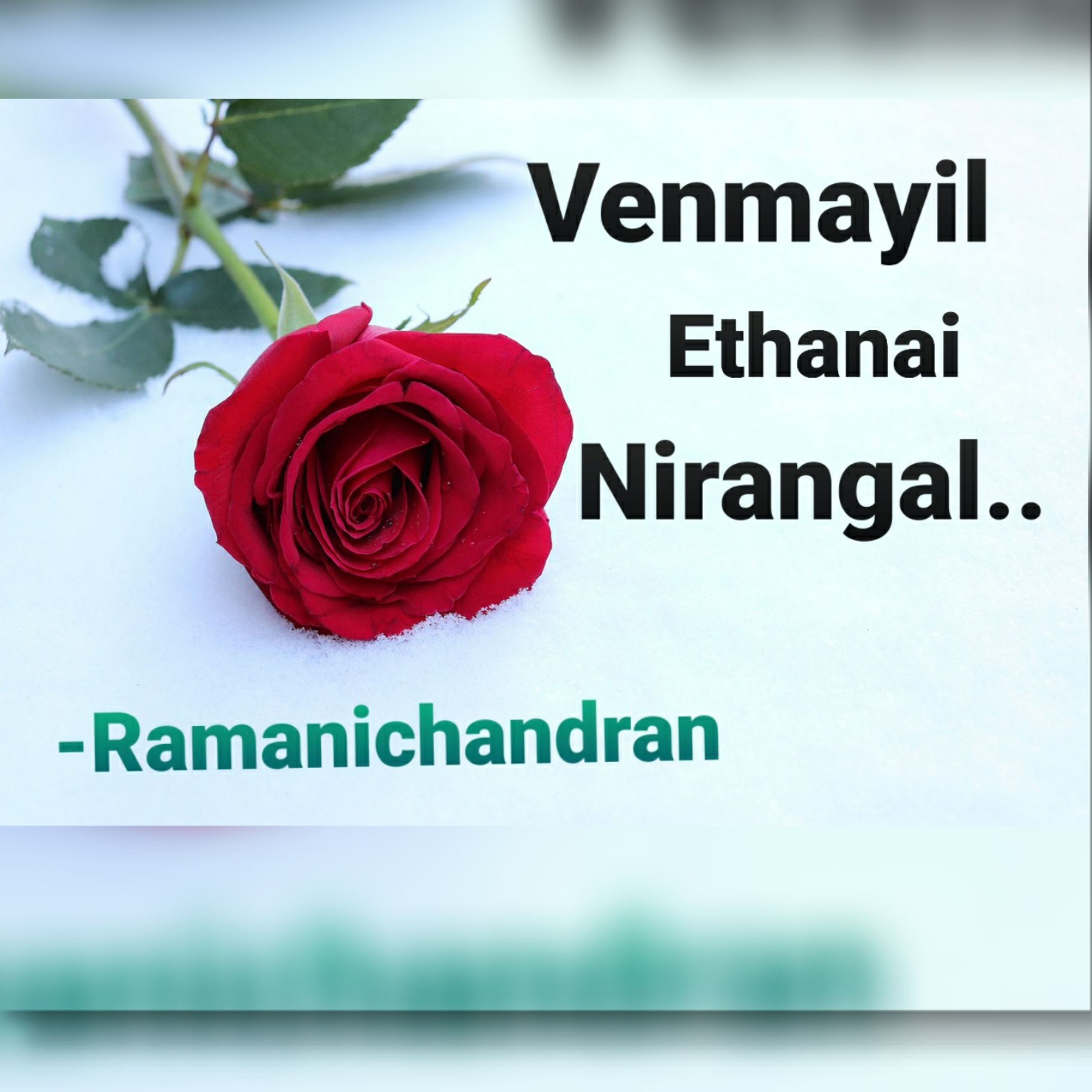 Episode - 13 Ramanichandran - Tamil - story - Novel VENMAYIL ETHANAI NIRANGAL